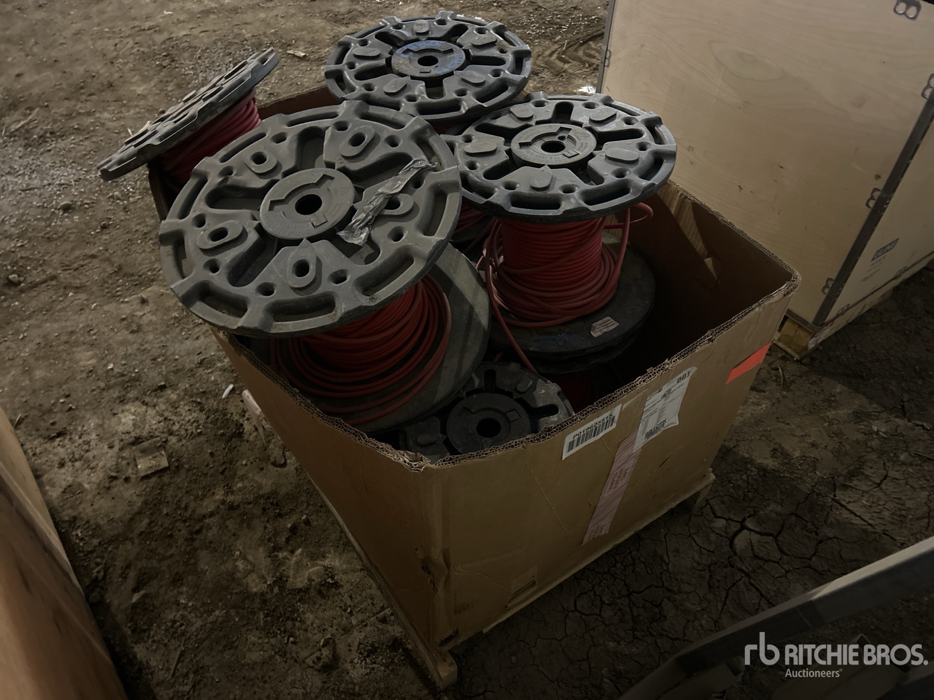 General Appearance with Bild, Ecke hinten links