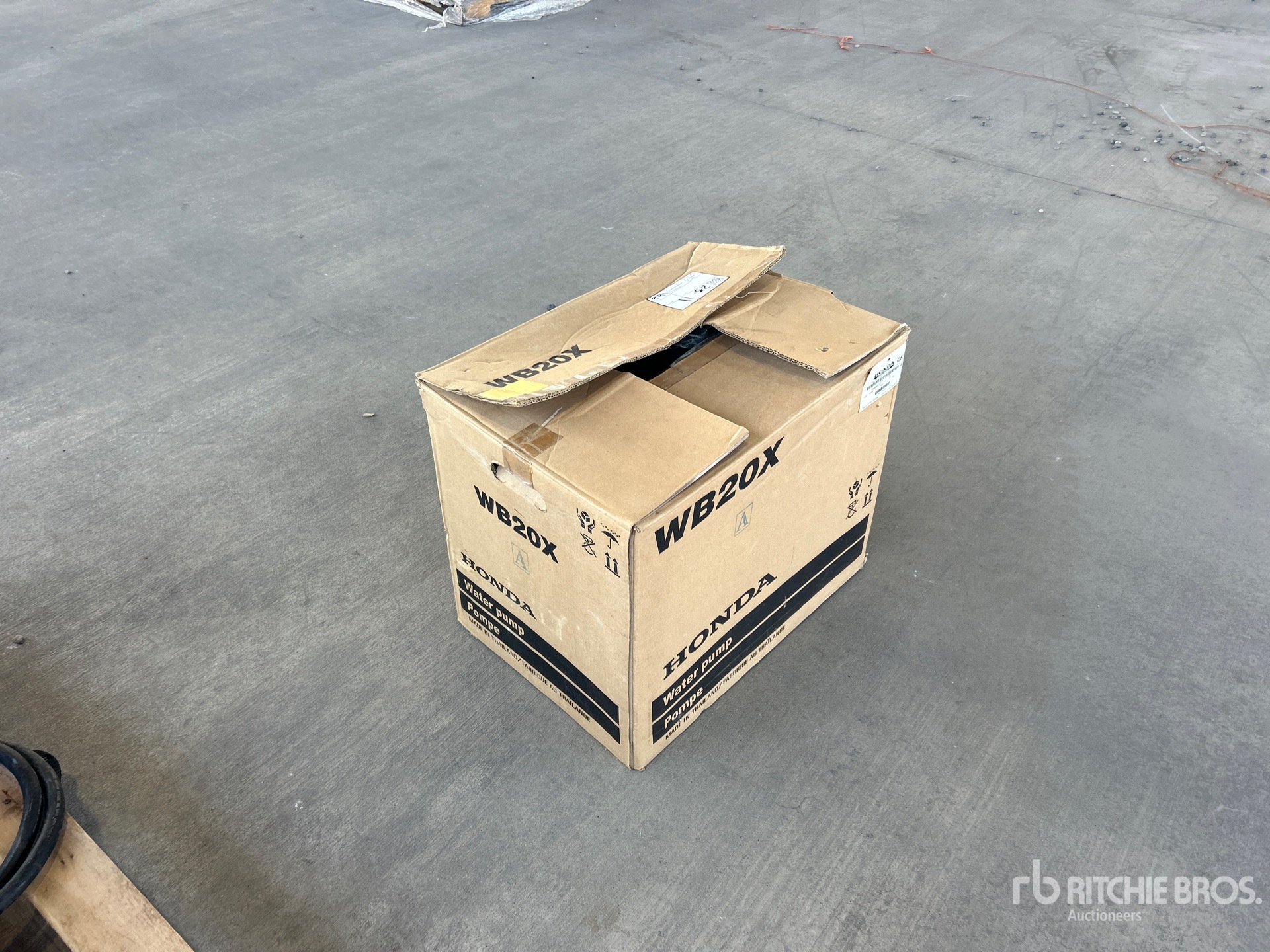 General Appearance with Image, coin arrière droit