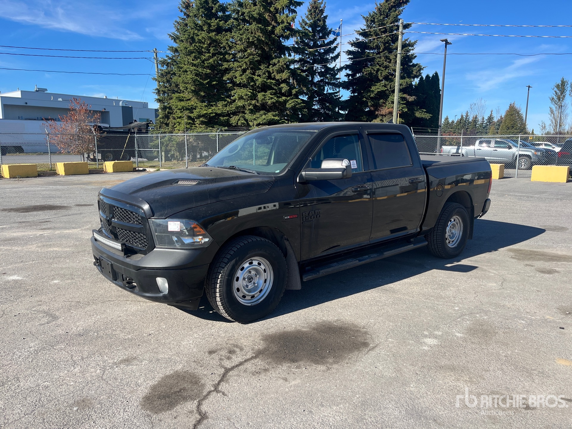 General Appearance with Spin