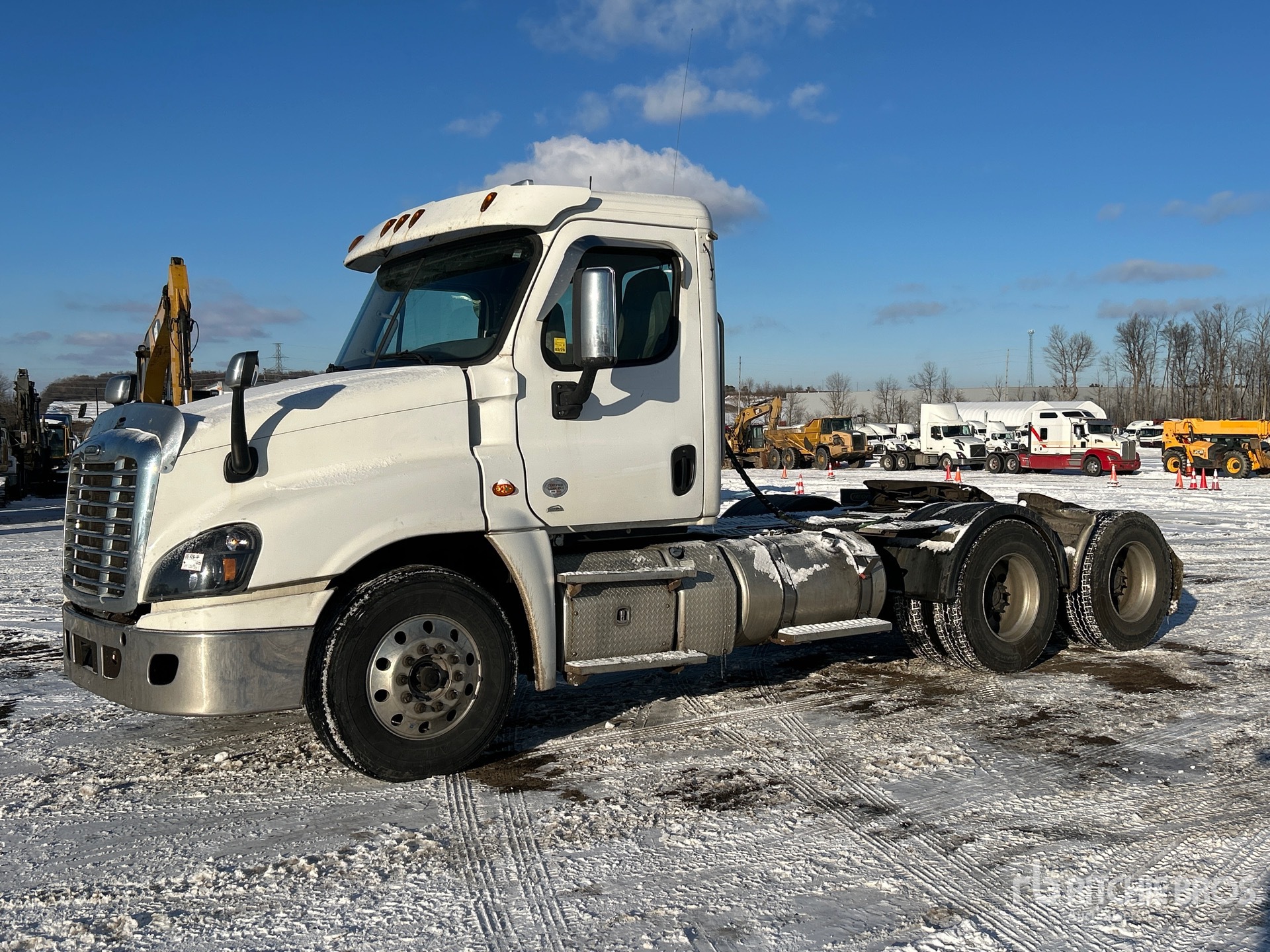 General Appearance with Spin