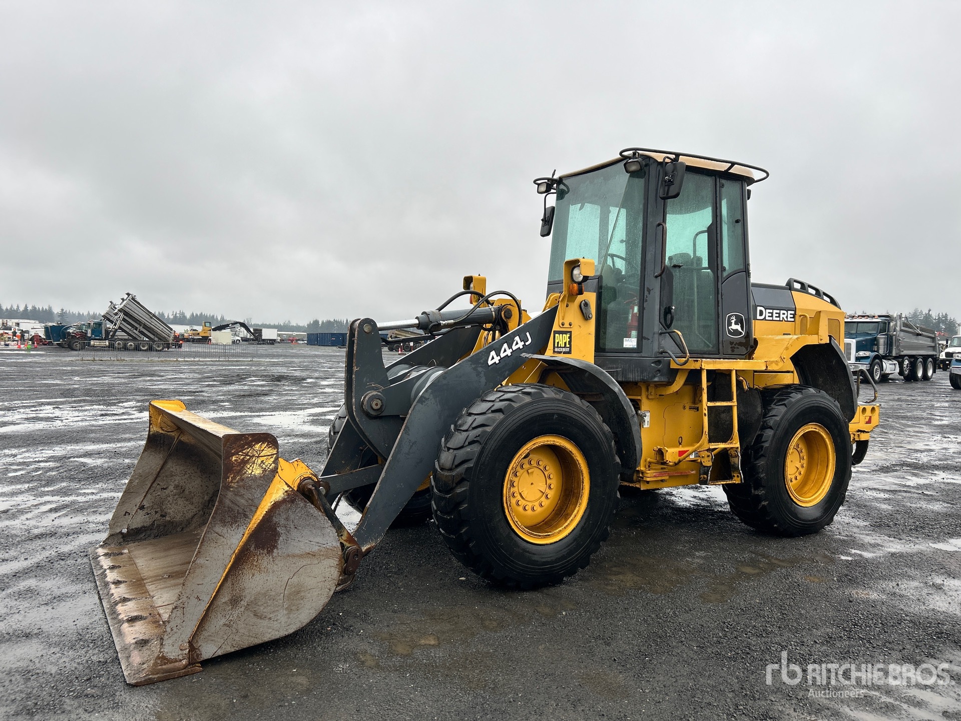 General Appearance with Spin