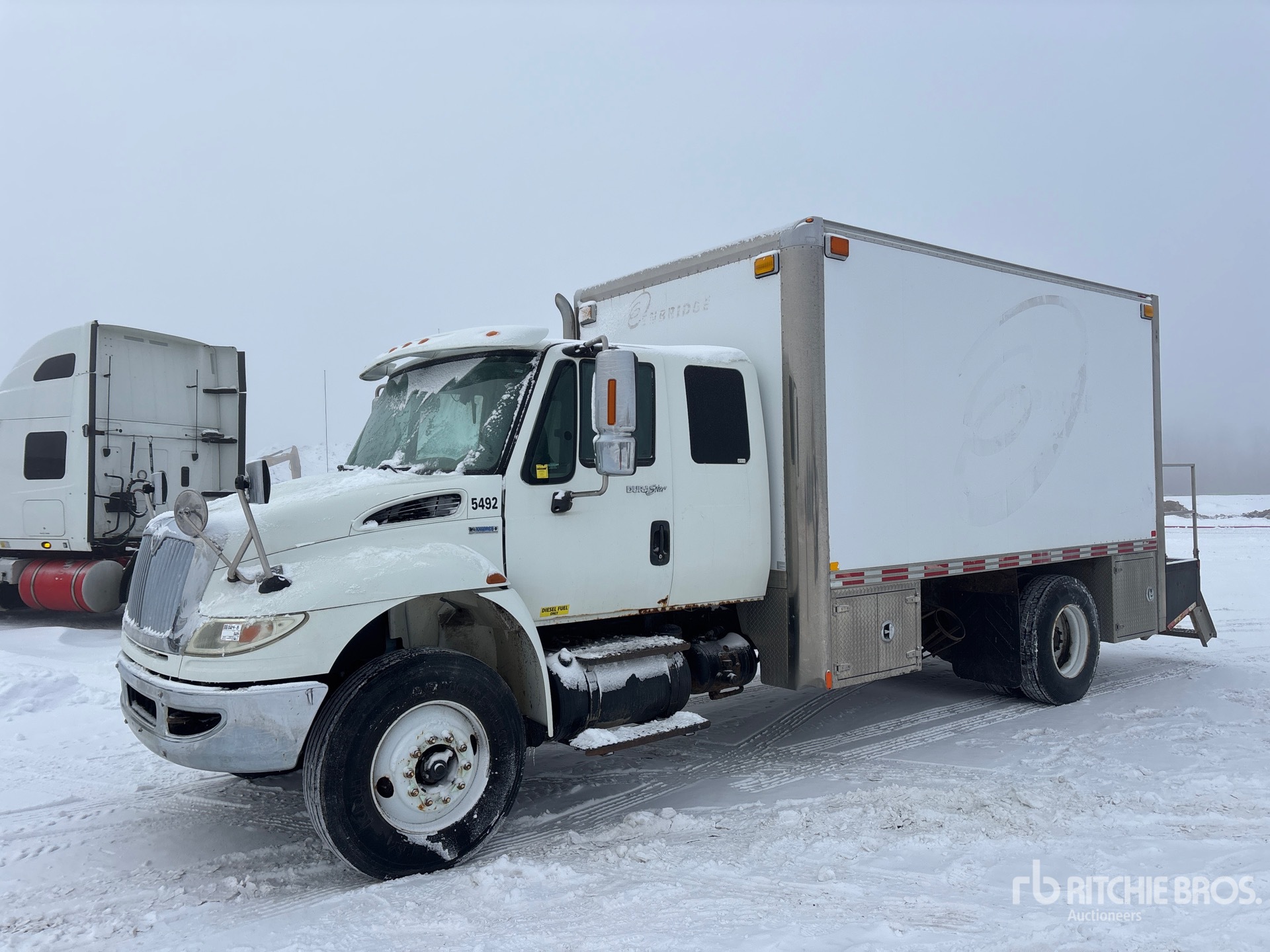 General Appearance with Spin