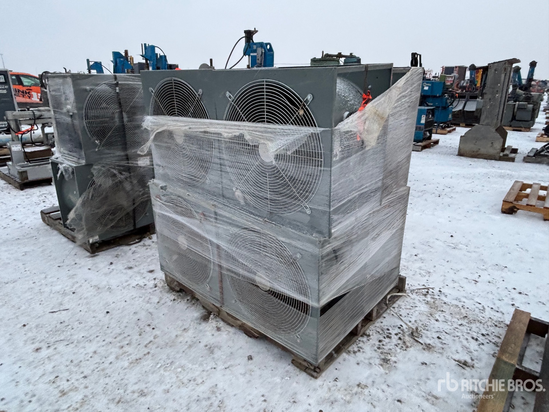 General Appearance with Zdjęcie, prawy dolny róg