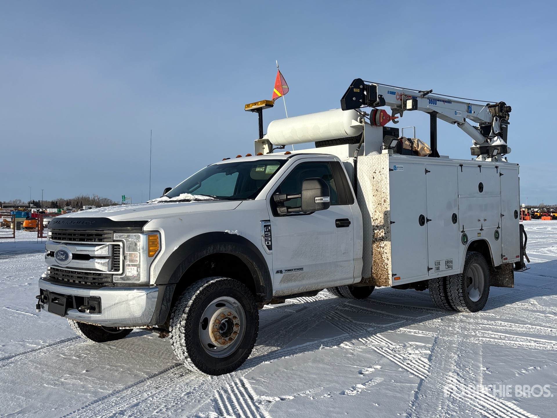 General Appearance with Spin