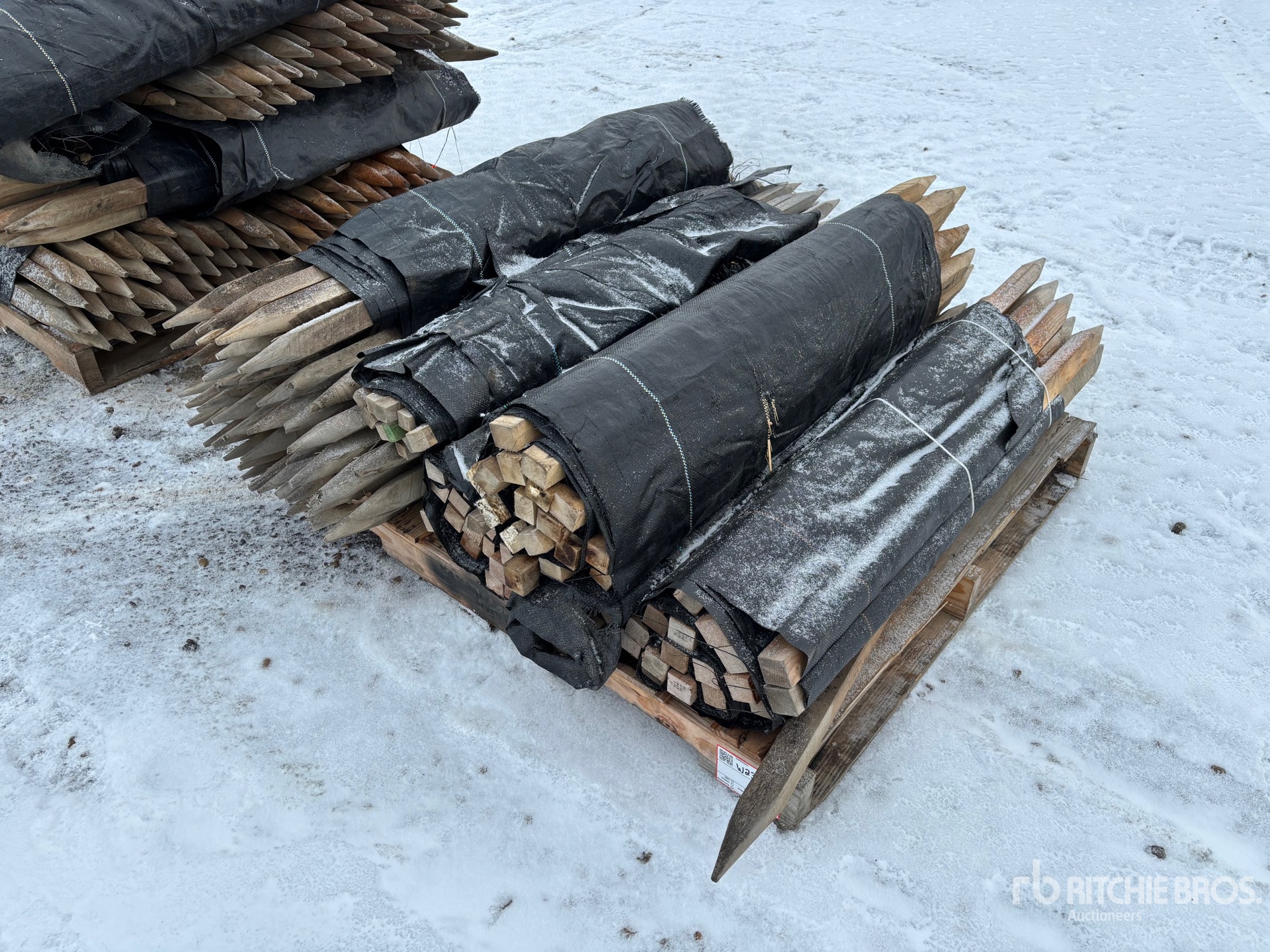 General Appearance with Zdjęcie, prawy górny róg