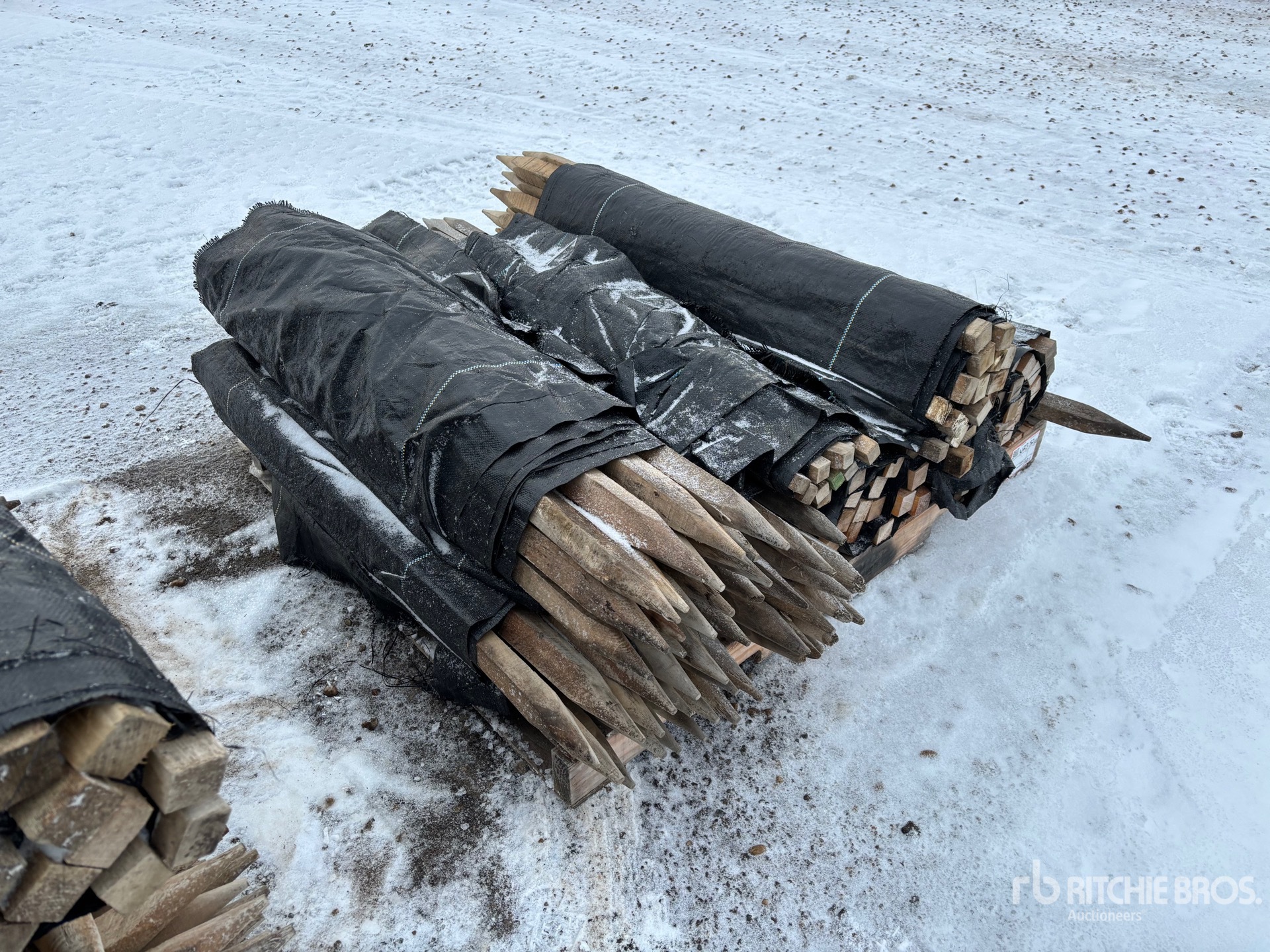 General Appearance with Zdjęcie, prawy dolny róg