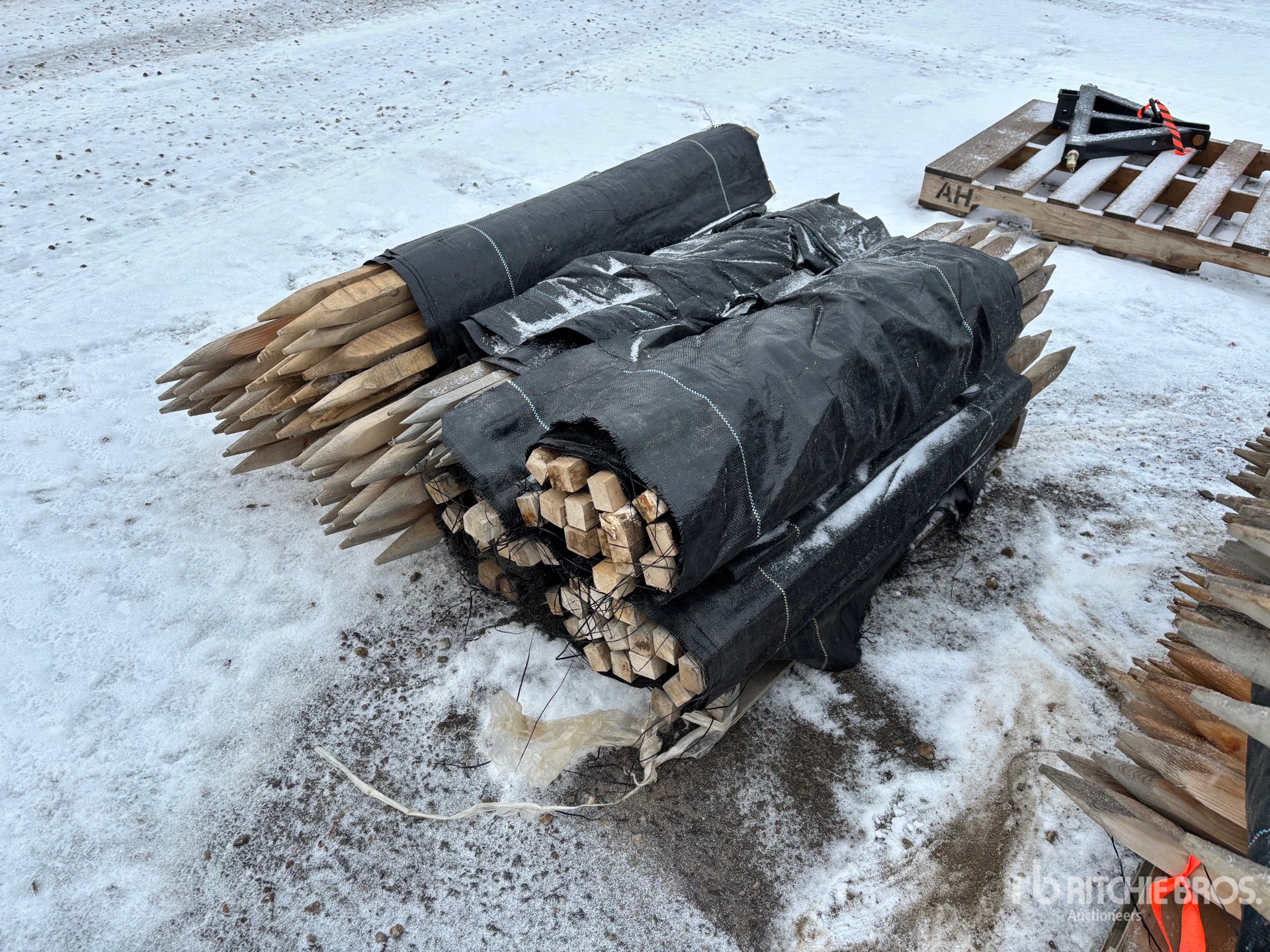 General Appearance with Zdjęcie, lewy dolny róg