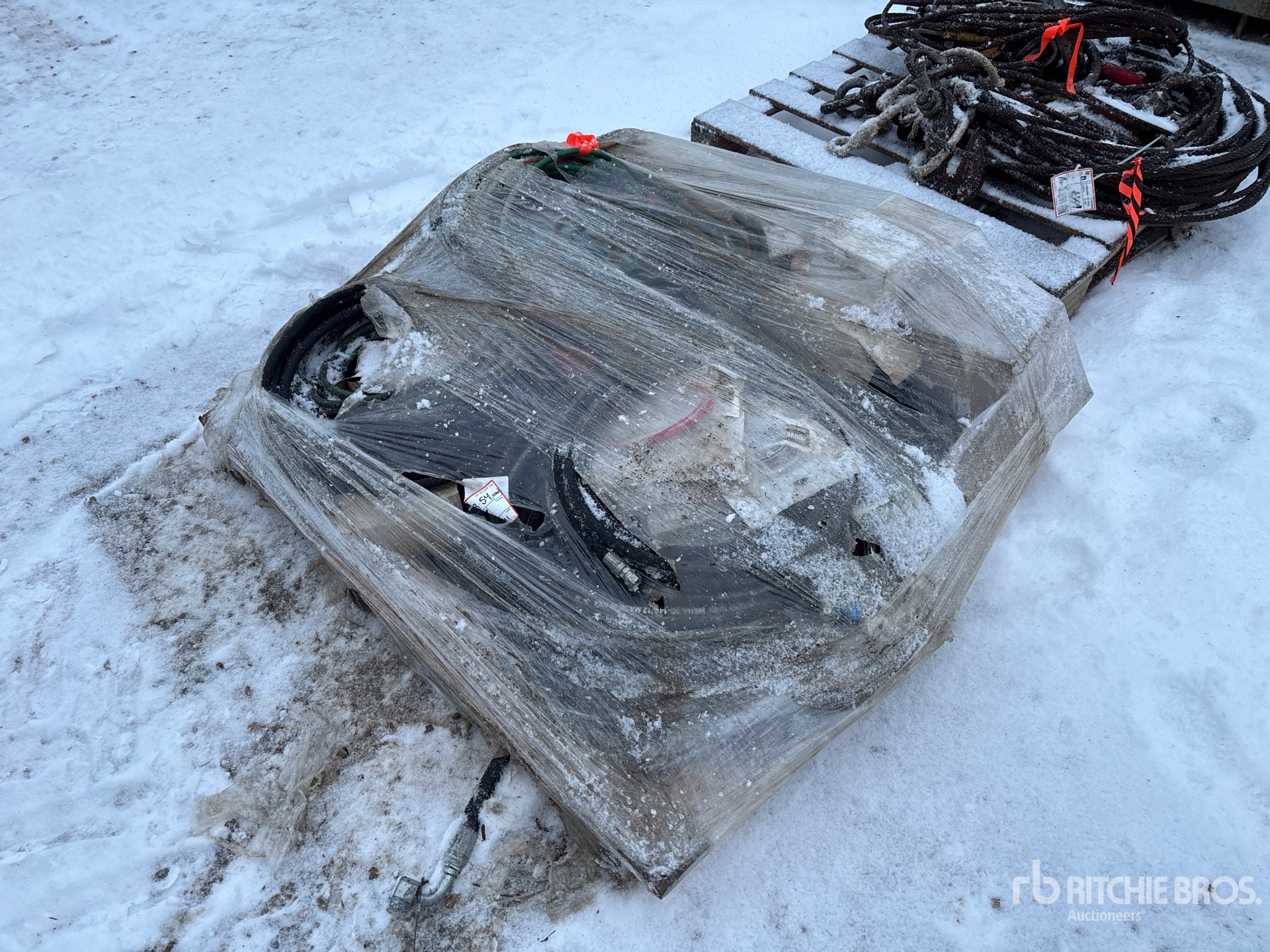 General Appearance with Bild, Ecke vorne links