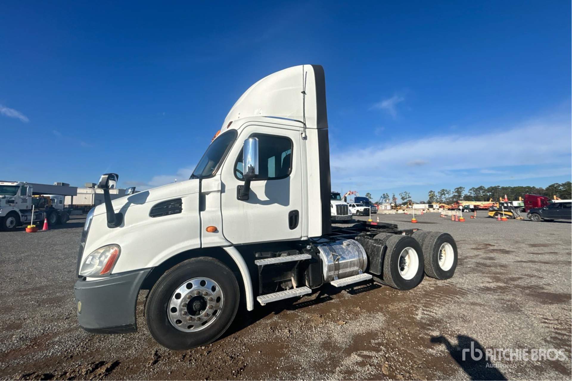 General Appearance with Spin