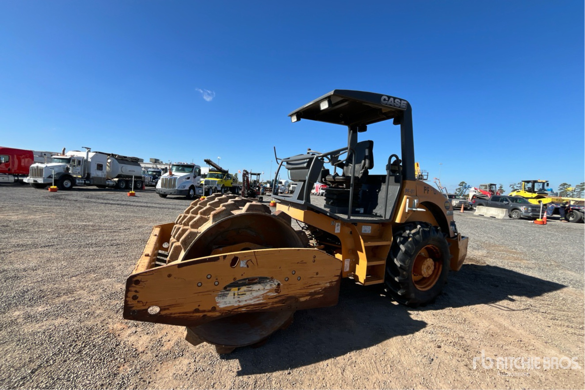 General Appearance with Spin