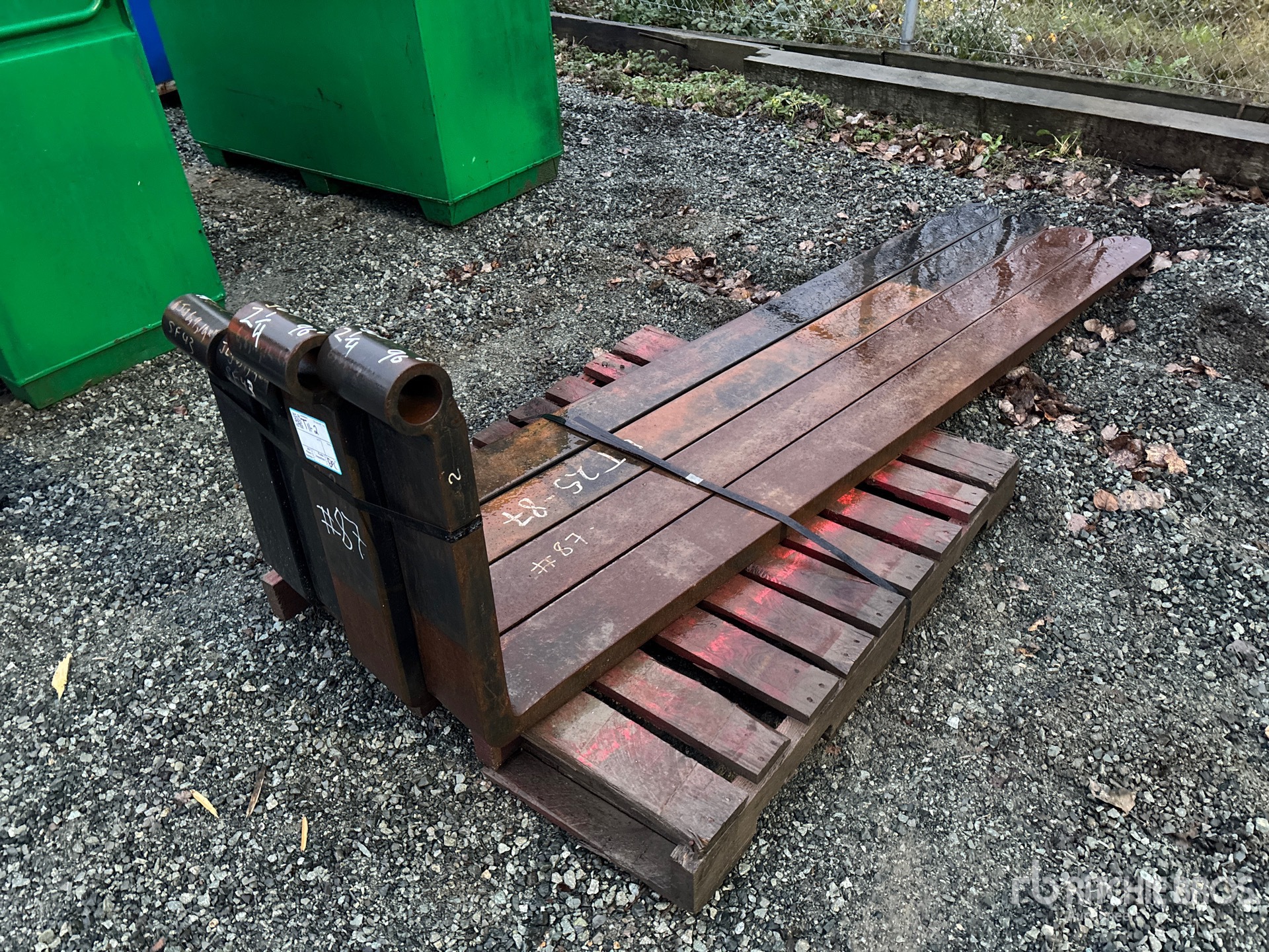 General Appearance with Zdjęcie, prawy dolny róg