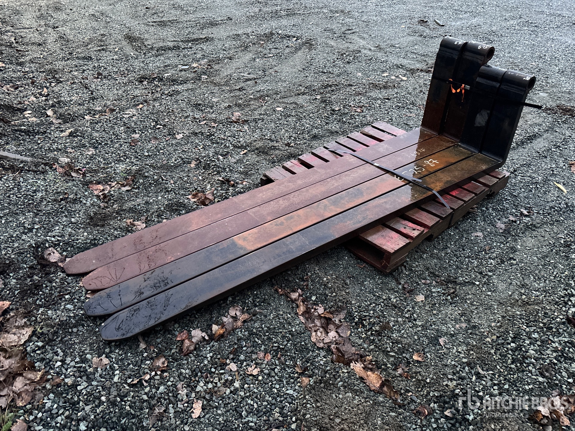 General Appearance with Zdjęcie, lewy górny róg