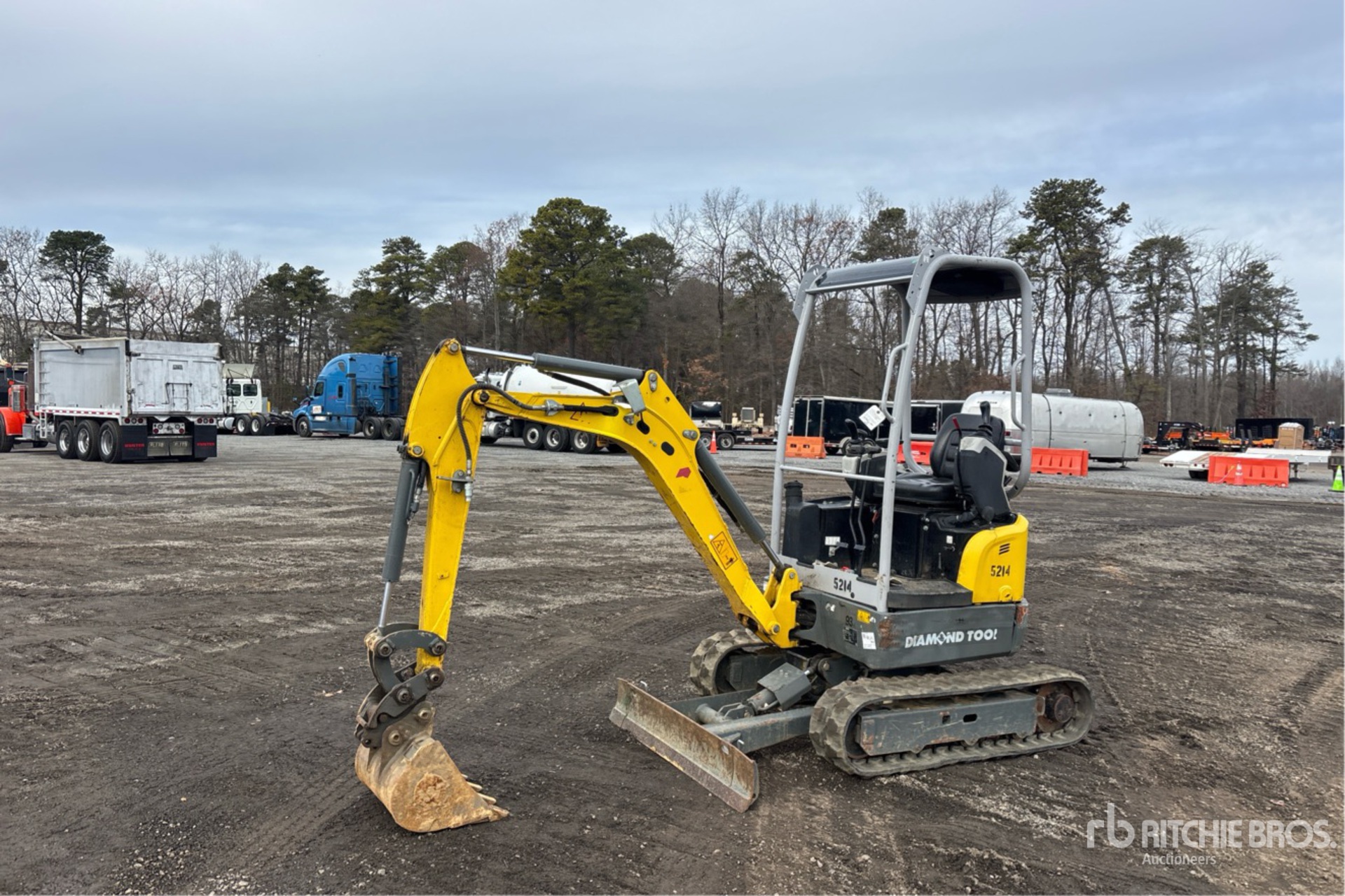 General Appearance with Spin