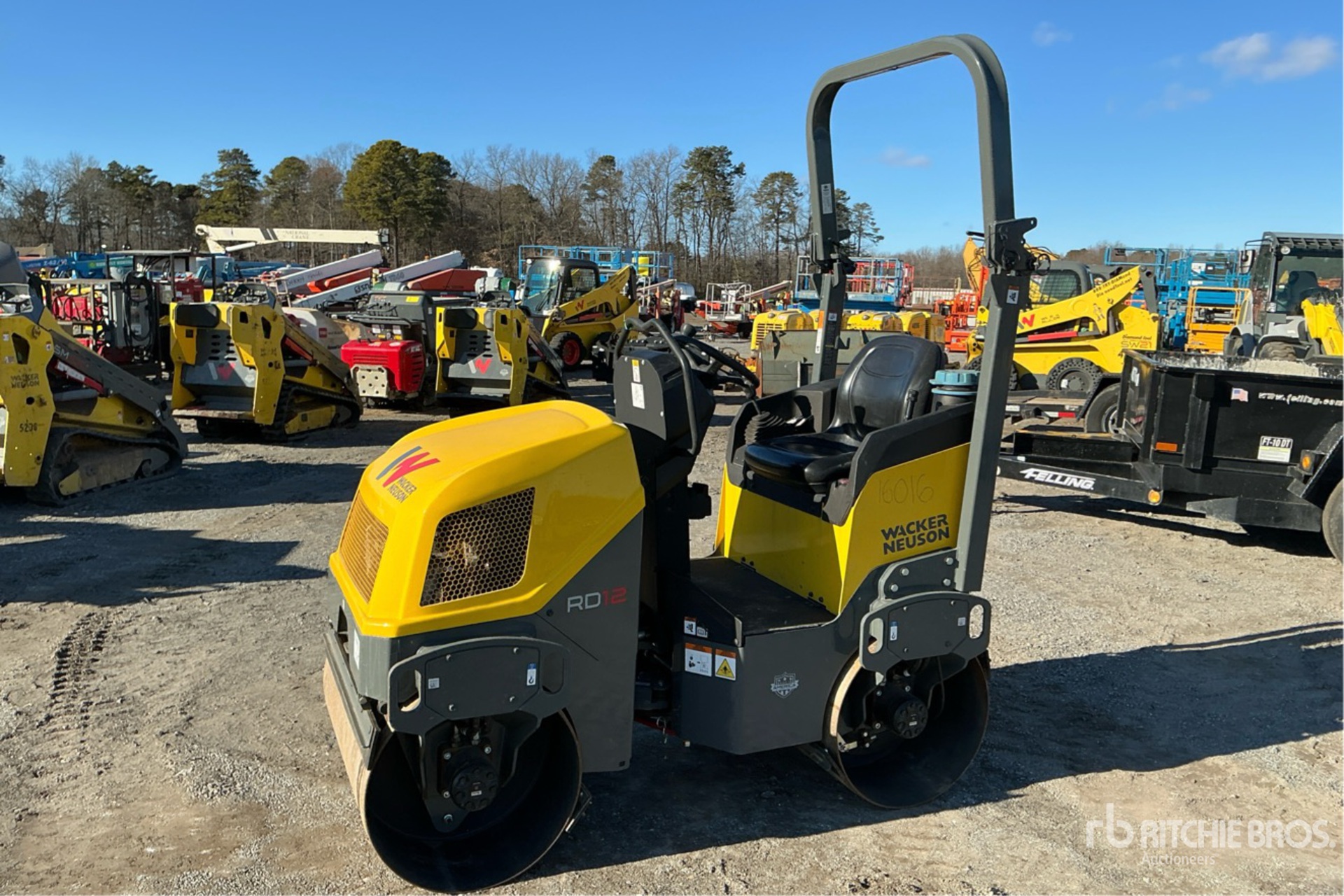 General Appearance with Spin