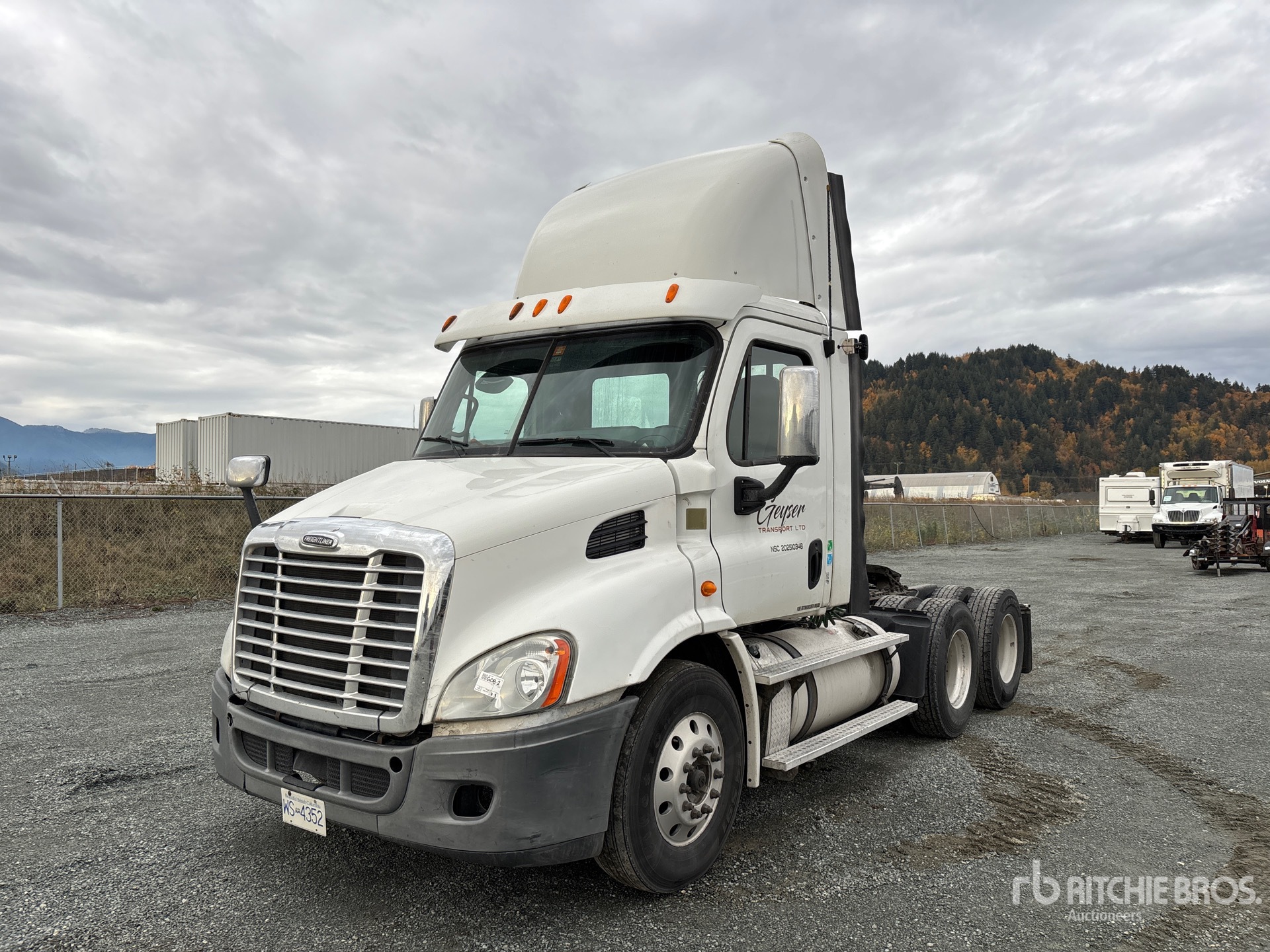 General Appearance with Spin