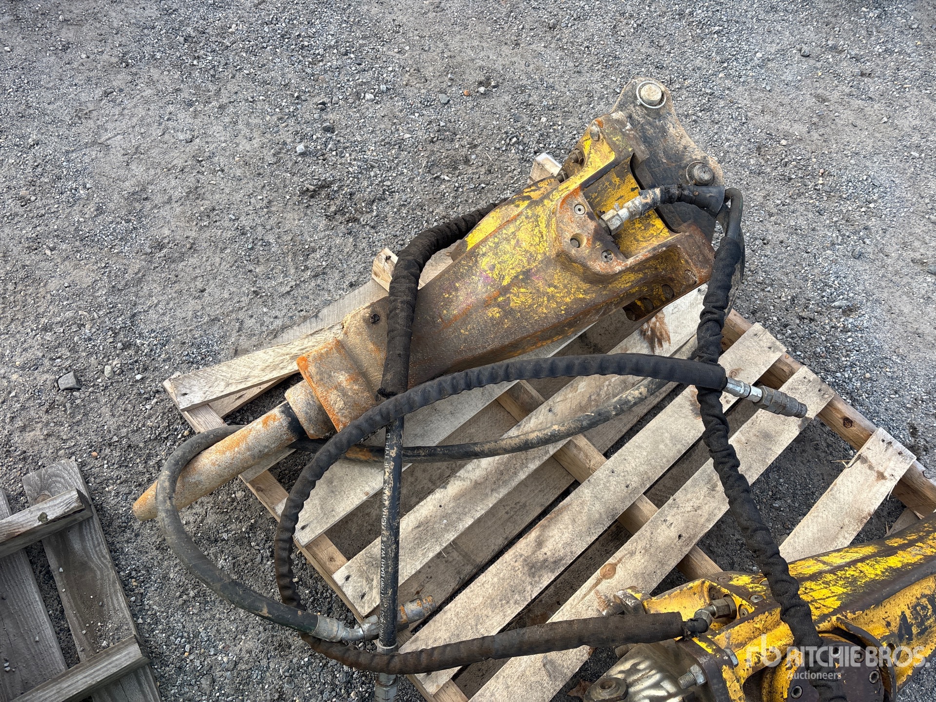 General Appearance with Foto, angolo anteriore sinistro