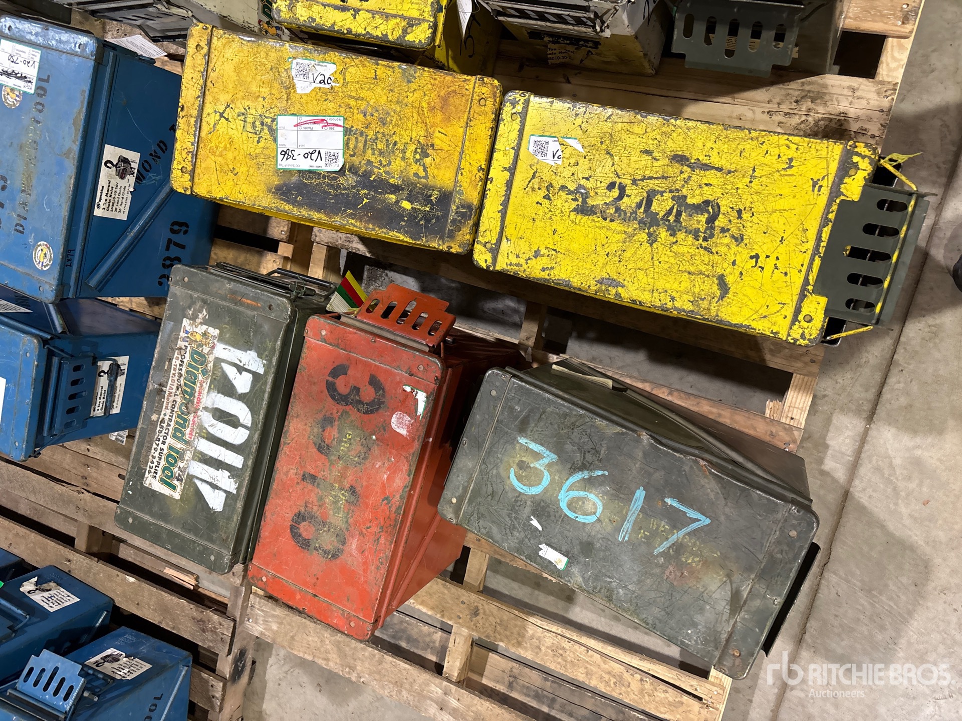 General Appearance with