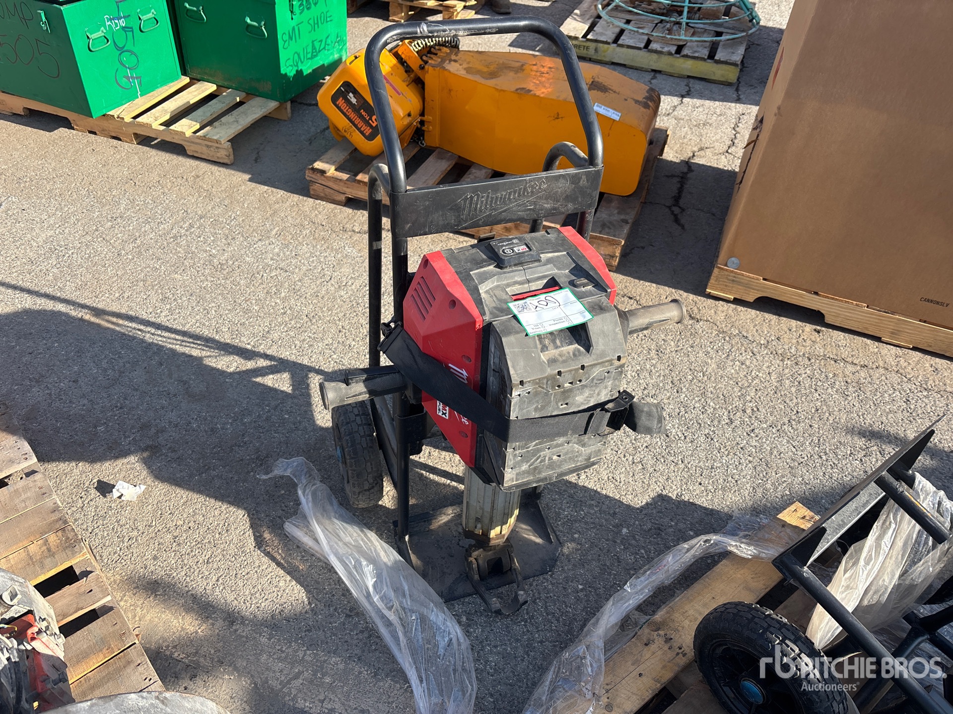 General Appearance with 