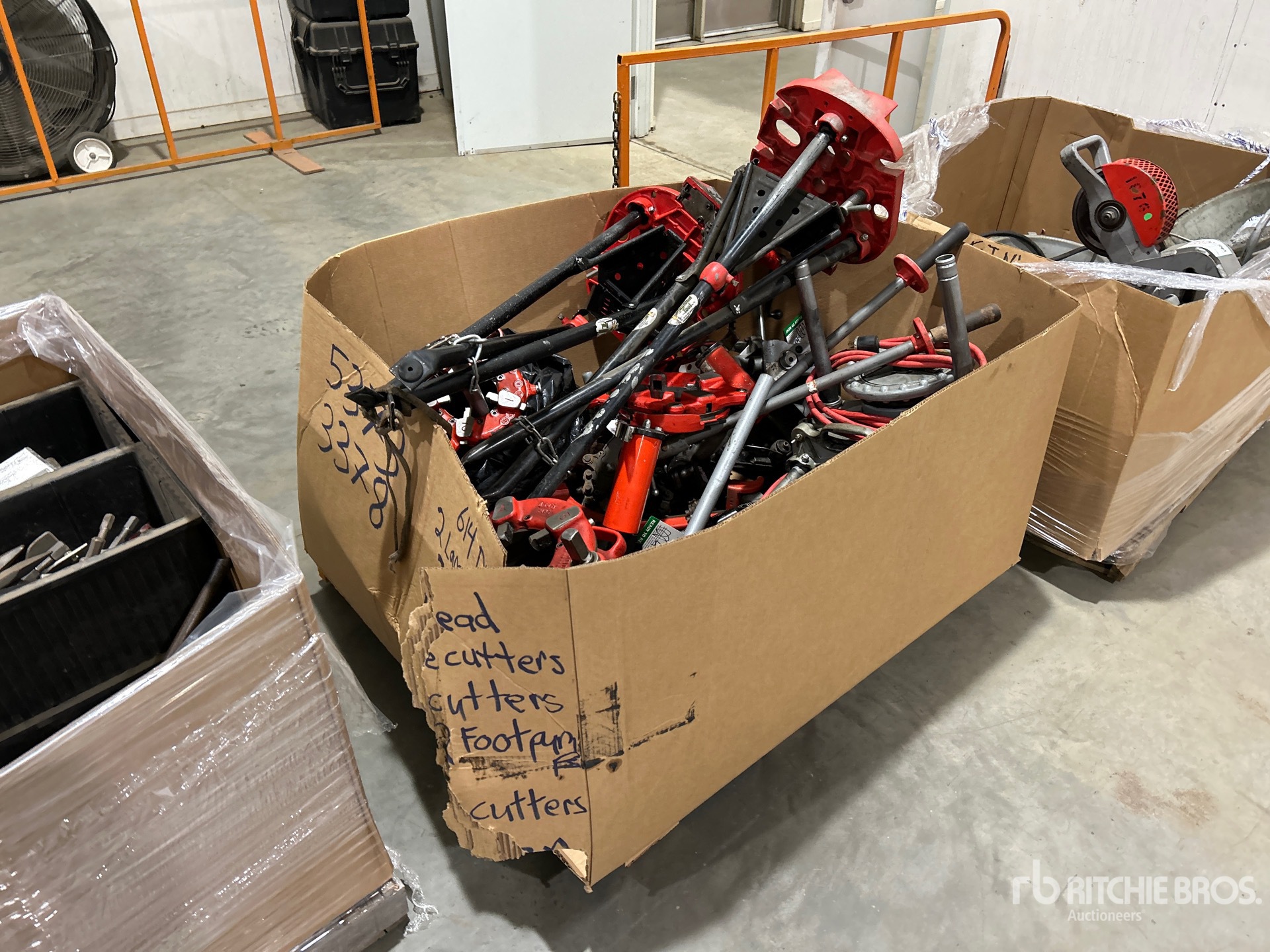 General Appearance with Image, coin arrière droit