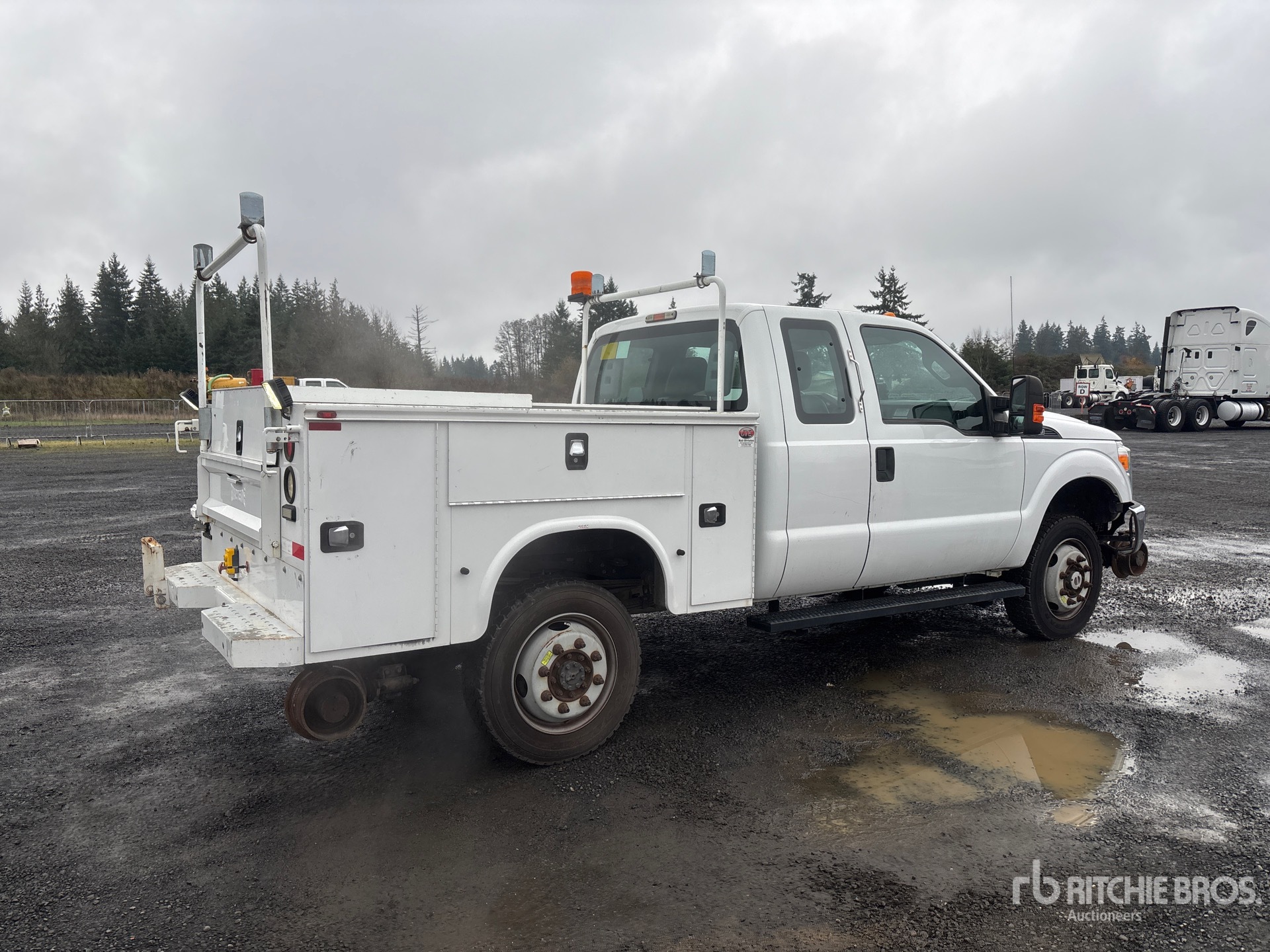 General Appearance with Image, coin arrière droit