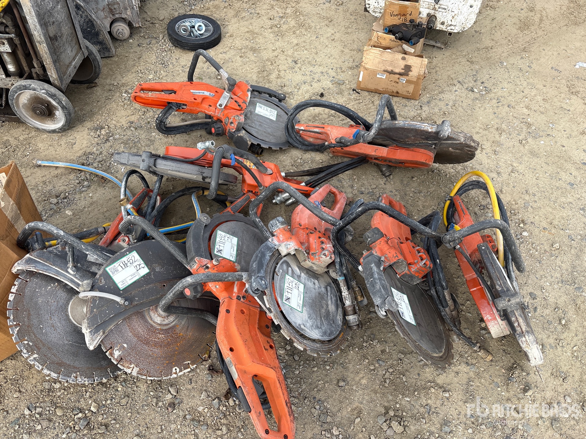 General Appearance with 