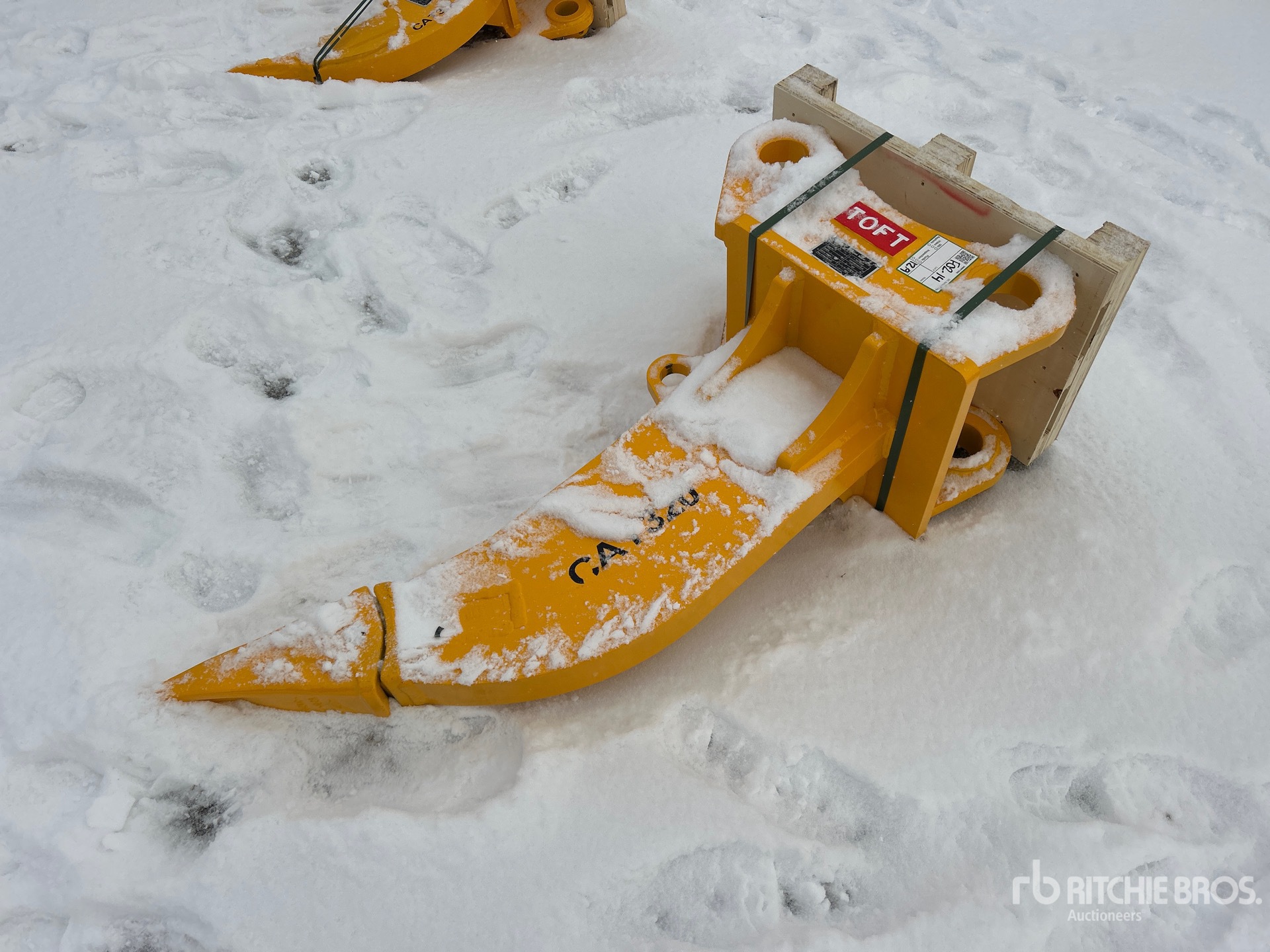 General Appearance with Zdjęcie, lewy dolny róg