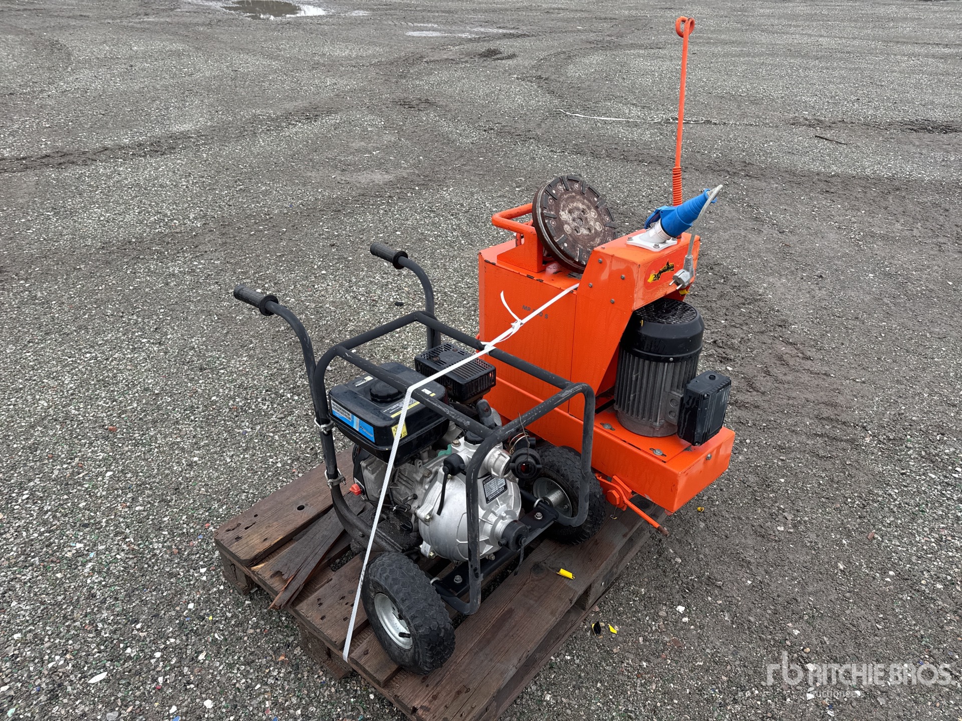 General Appearance with 