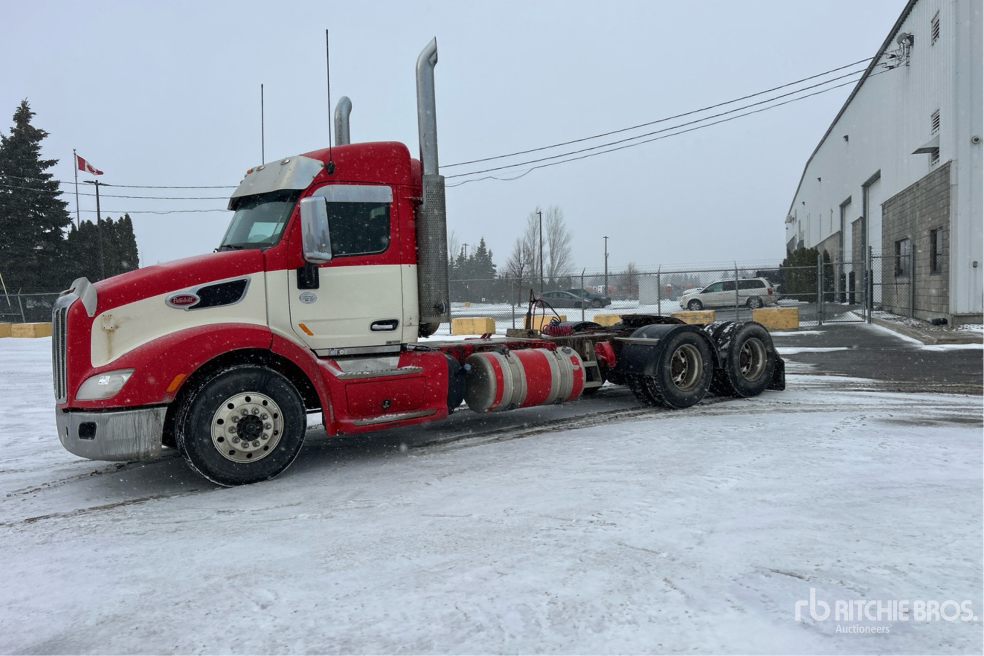 General Appearance with Spin