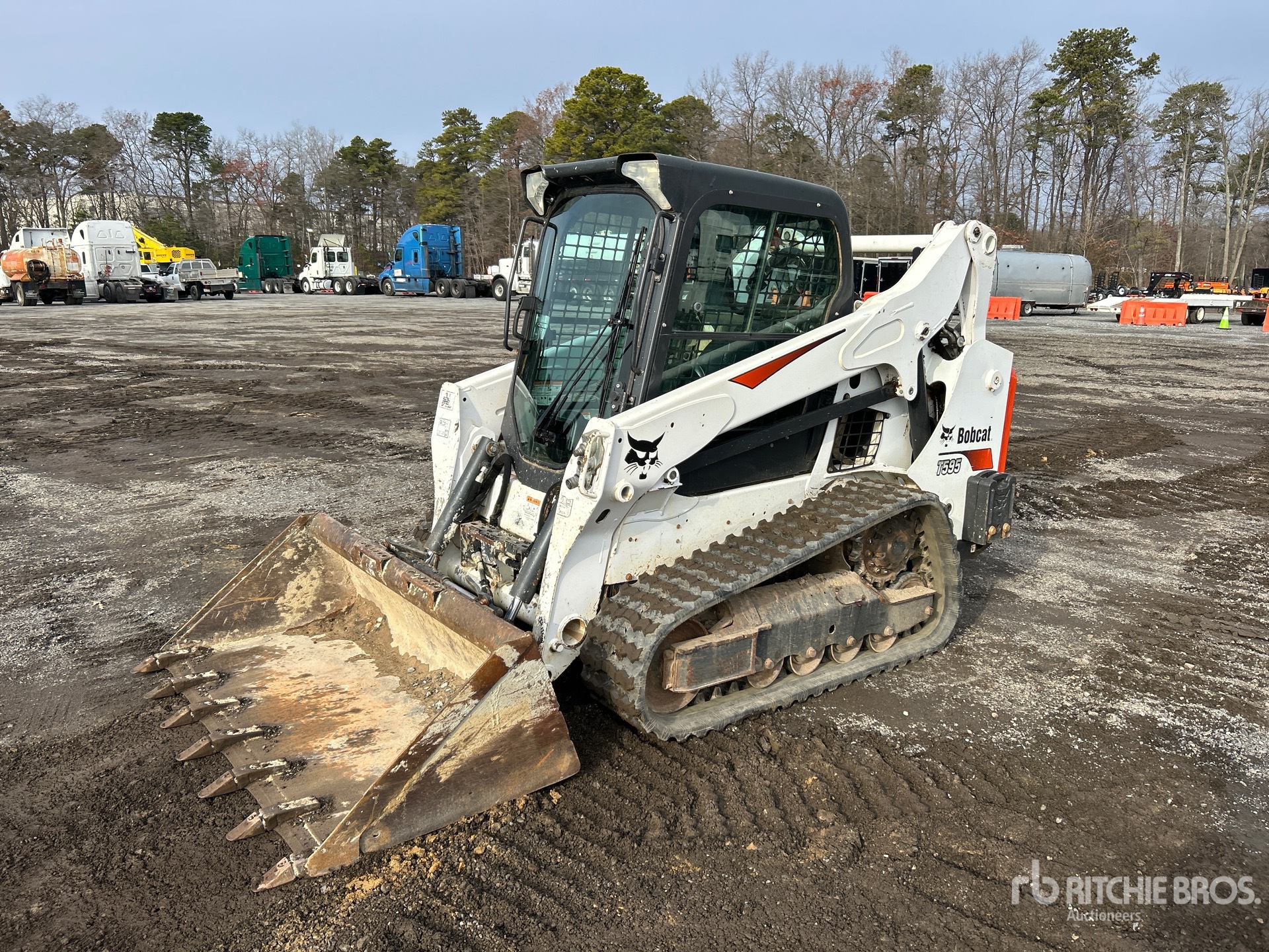 General Appearance with Spin