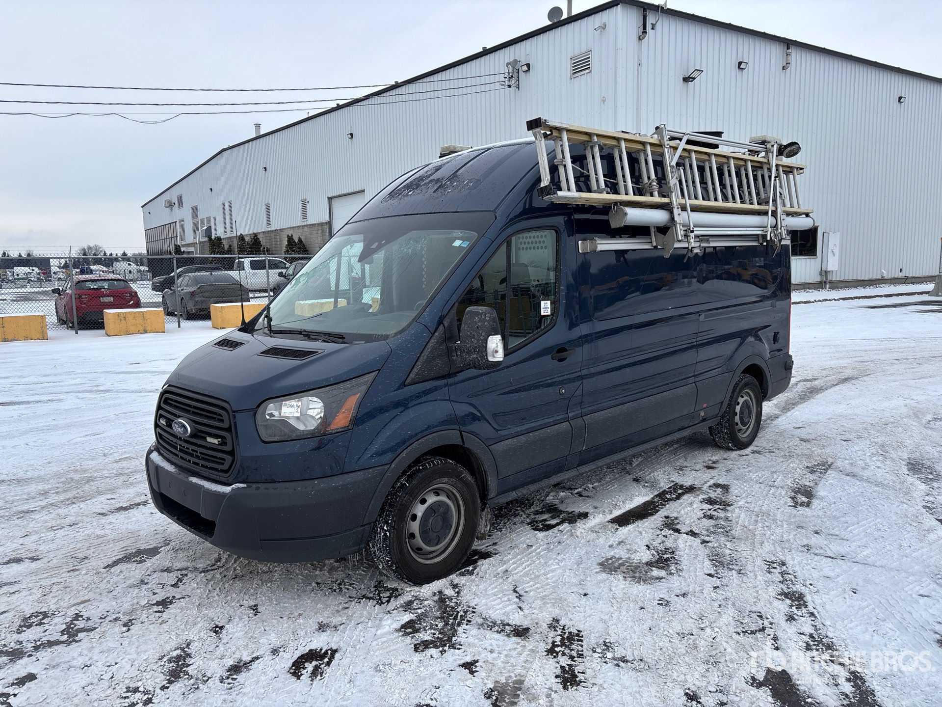 General Appearance with Spin