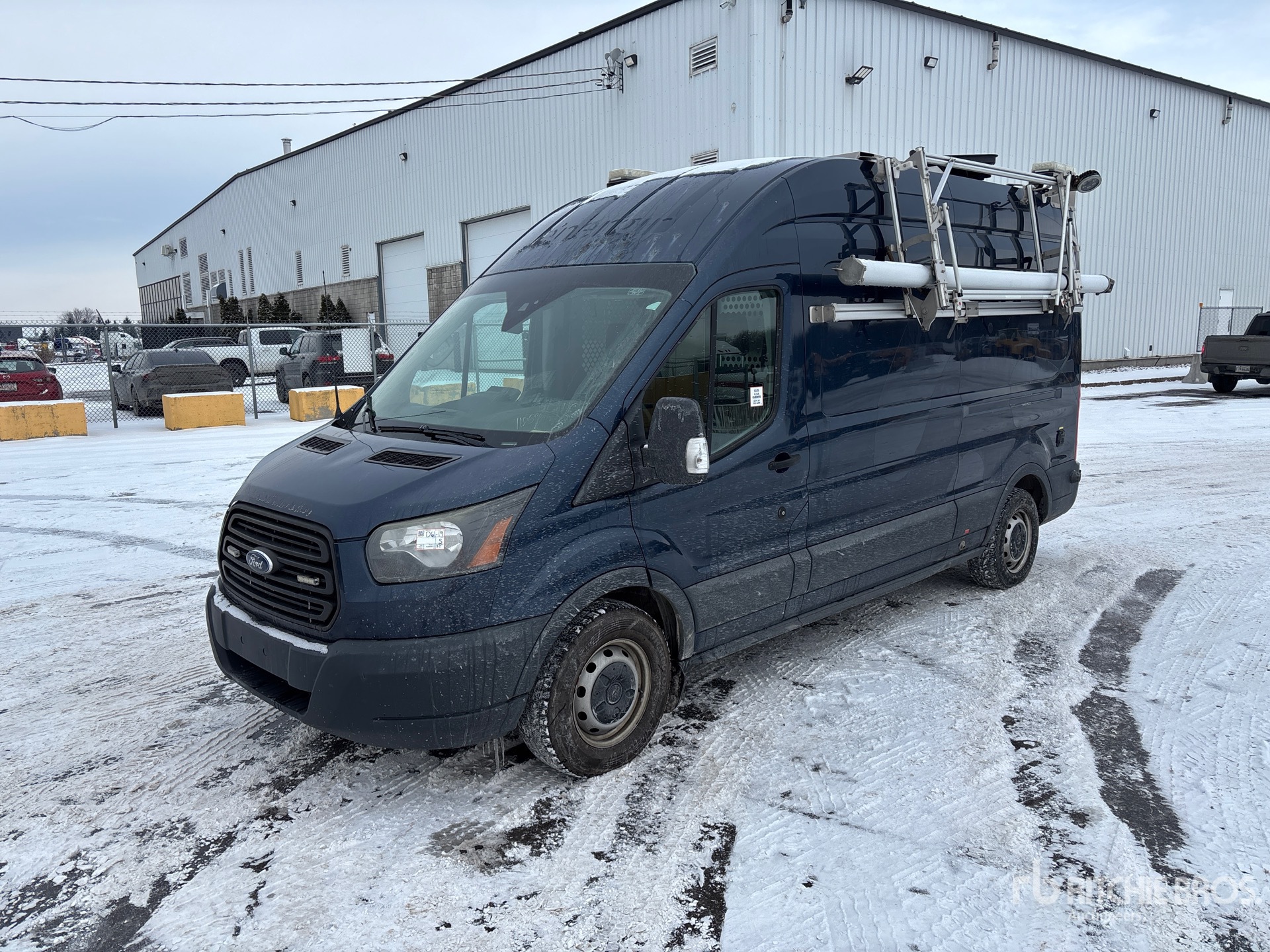 General Appearance with Spin