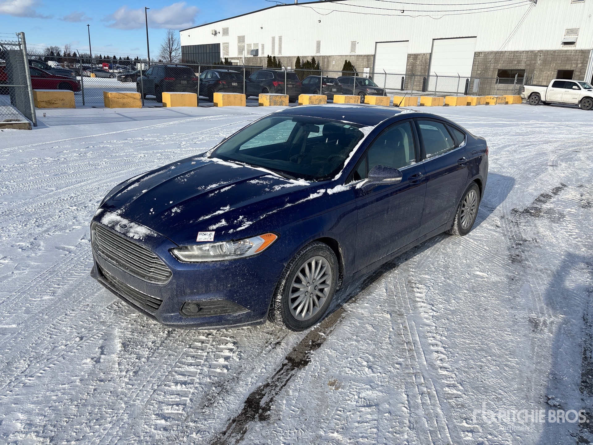 General Appearance with Spin