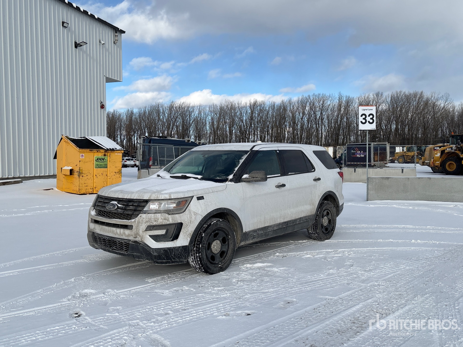 General Appearance with Spin