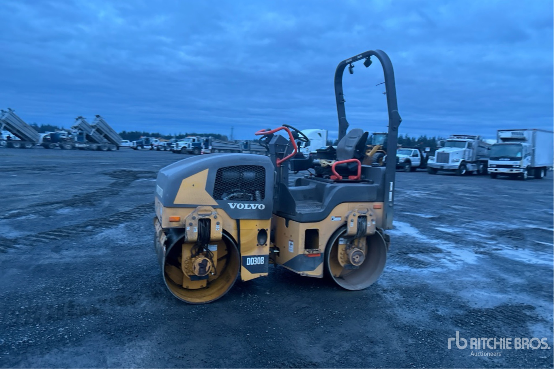 General Appearance with Spin