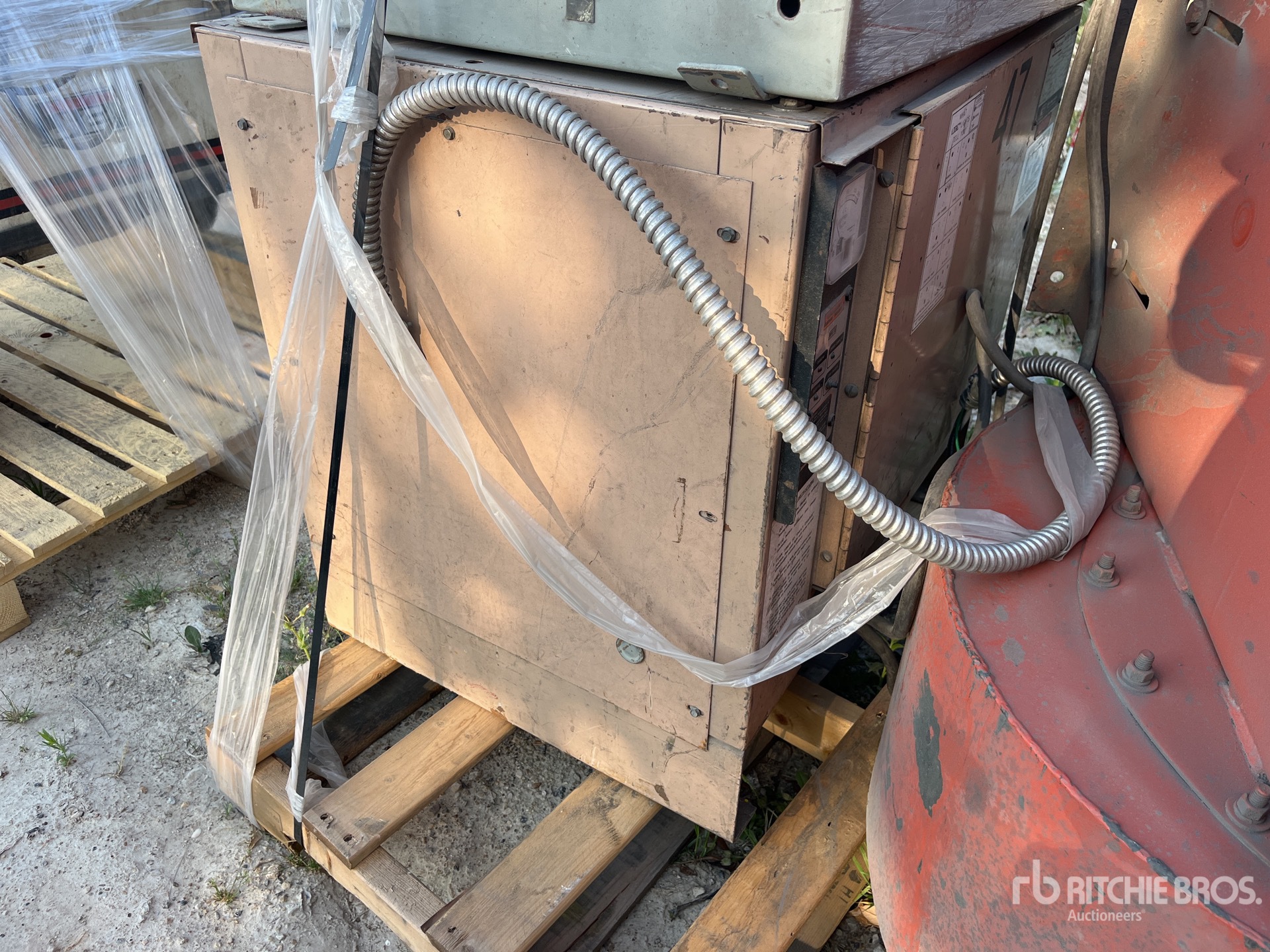 General Appearance with Zdjęcie, prawy górny róg