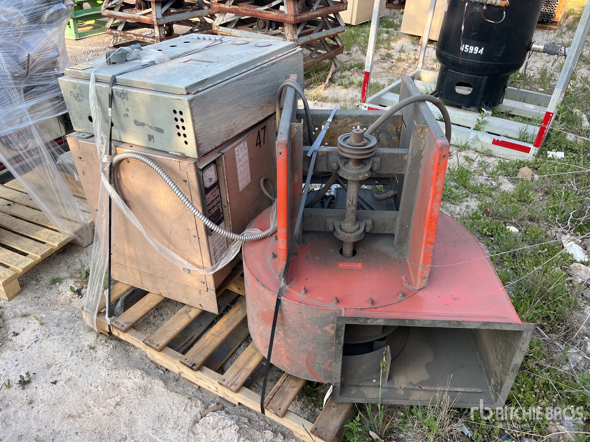 General Appearance with Zdjęcie, lewy dolny róg