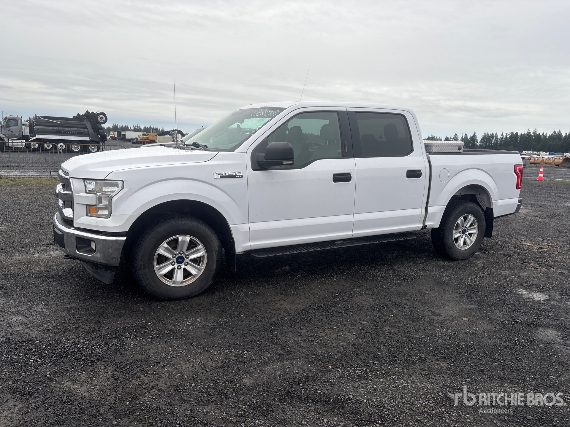 General Appearance with Spin