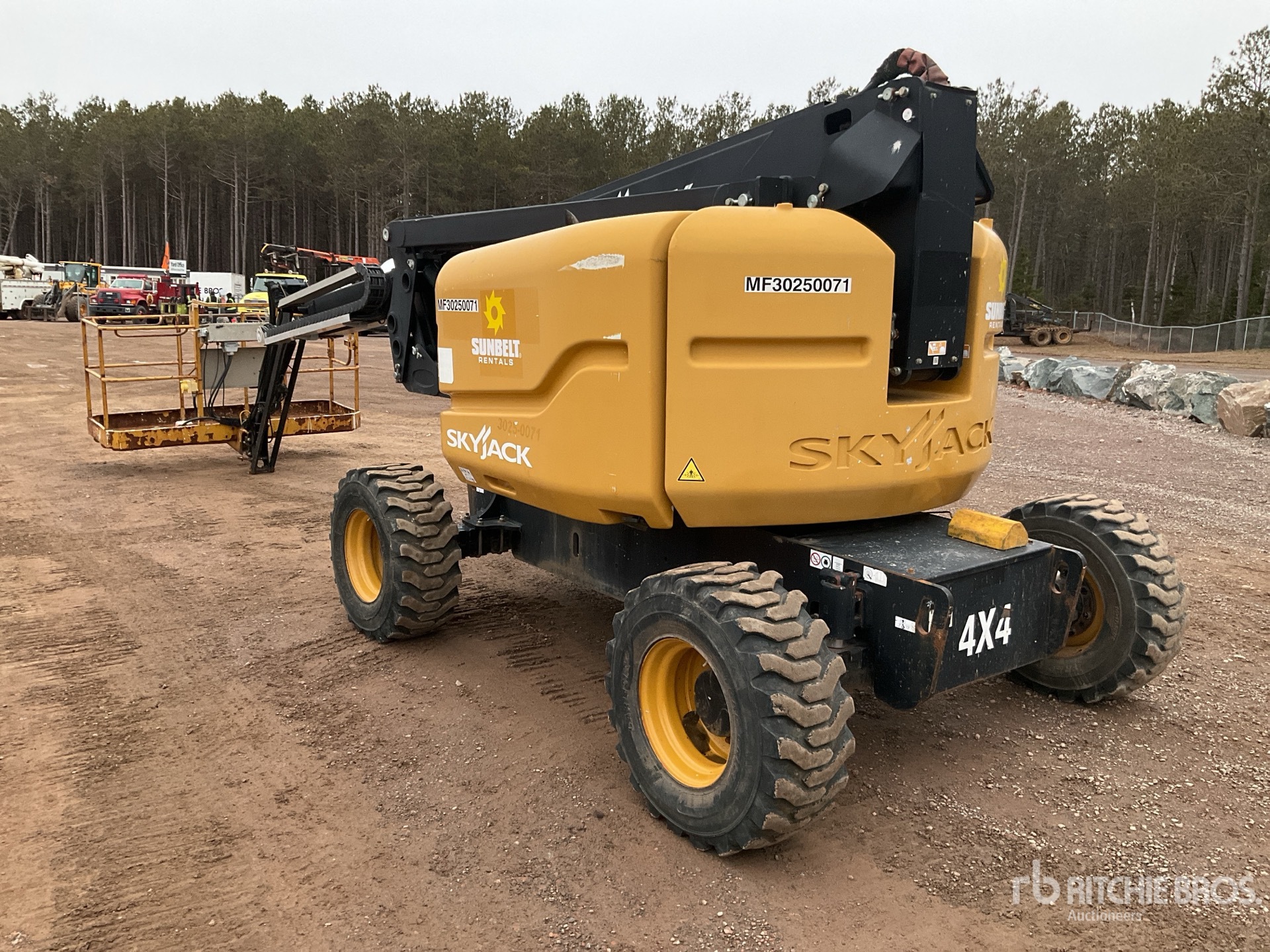 General Appearance with Zdjęcie, lewy dolny róg