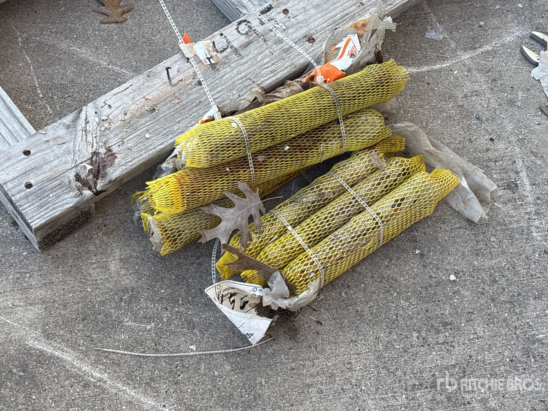 General Appearance with Zdjęcie, prawy górny róg