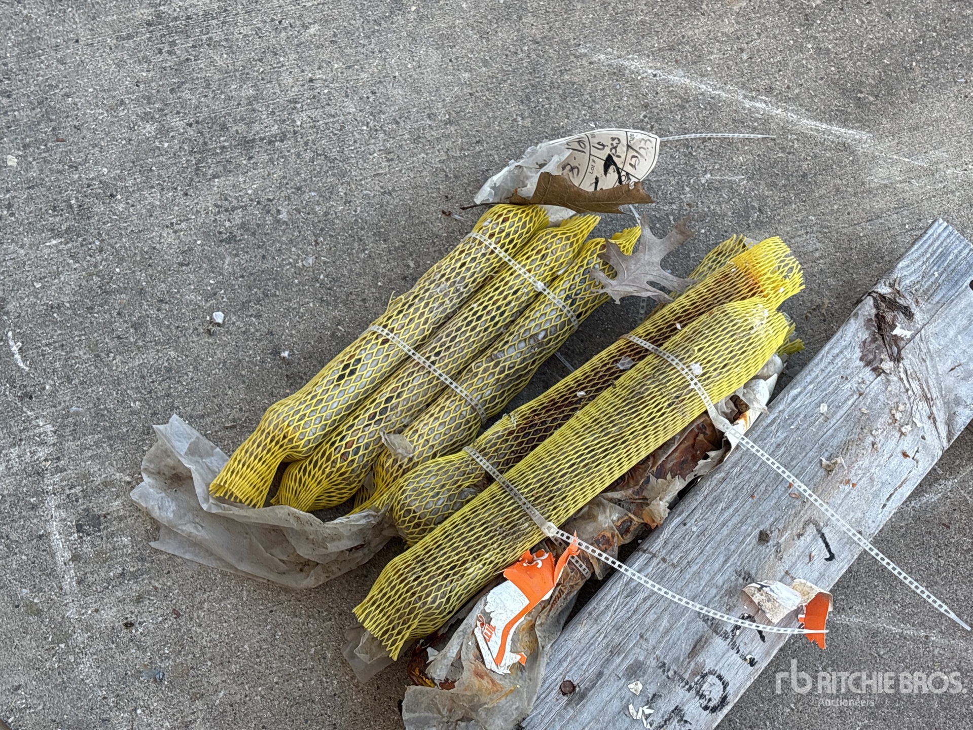 General Appearance with Zdjęcie, lewy dolny róg