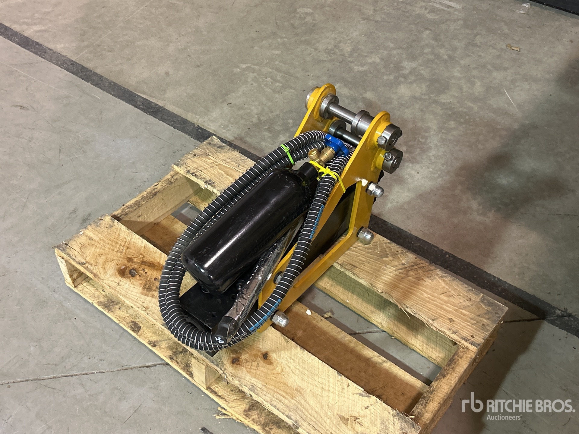 General Appearance with Bild, Ecke vorne links