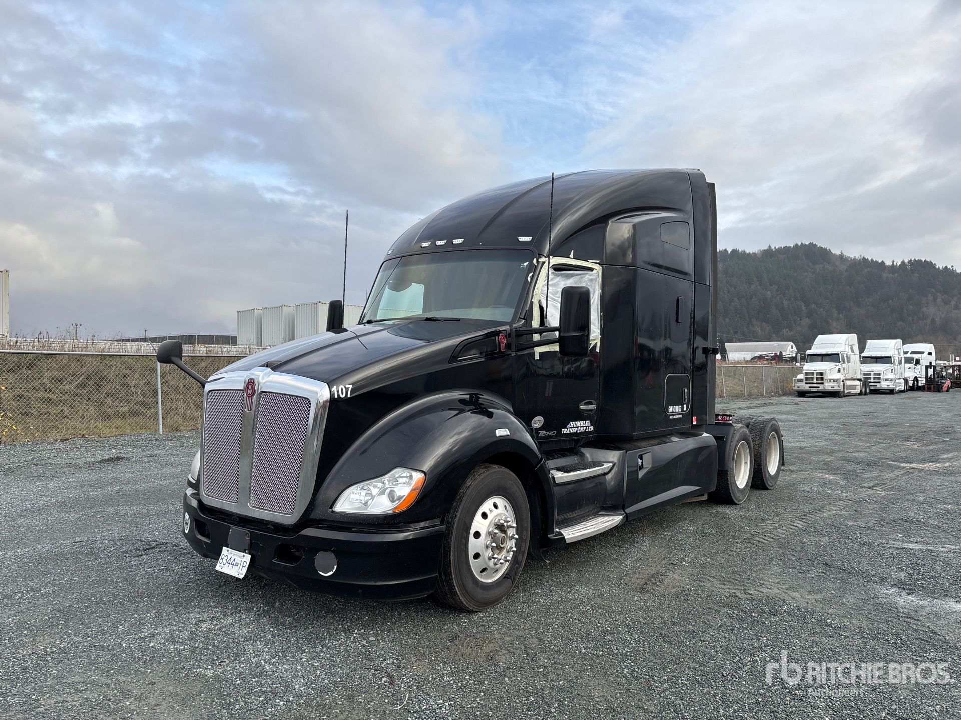 General Appearance with Spin