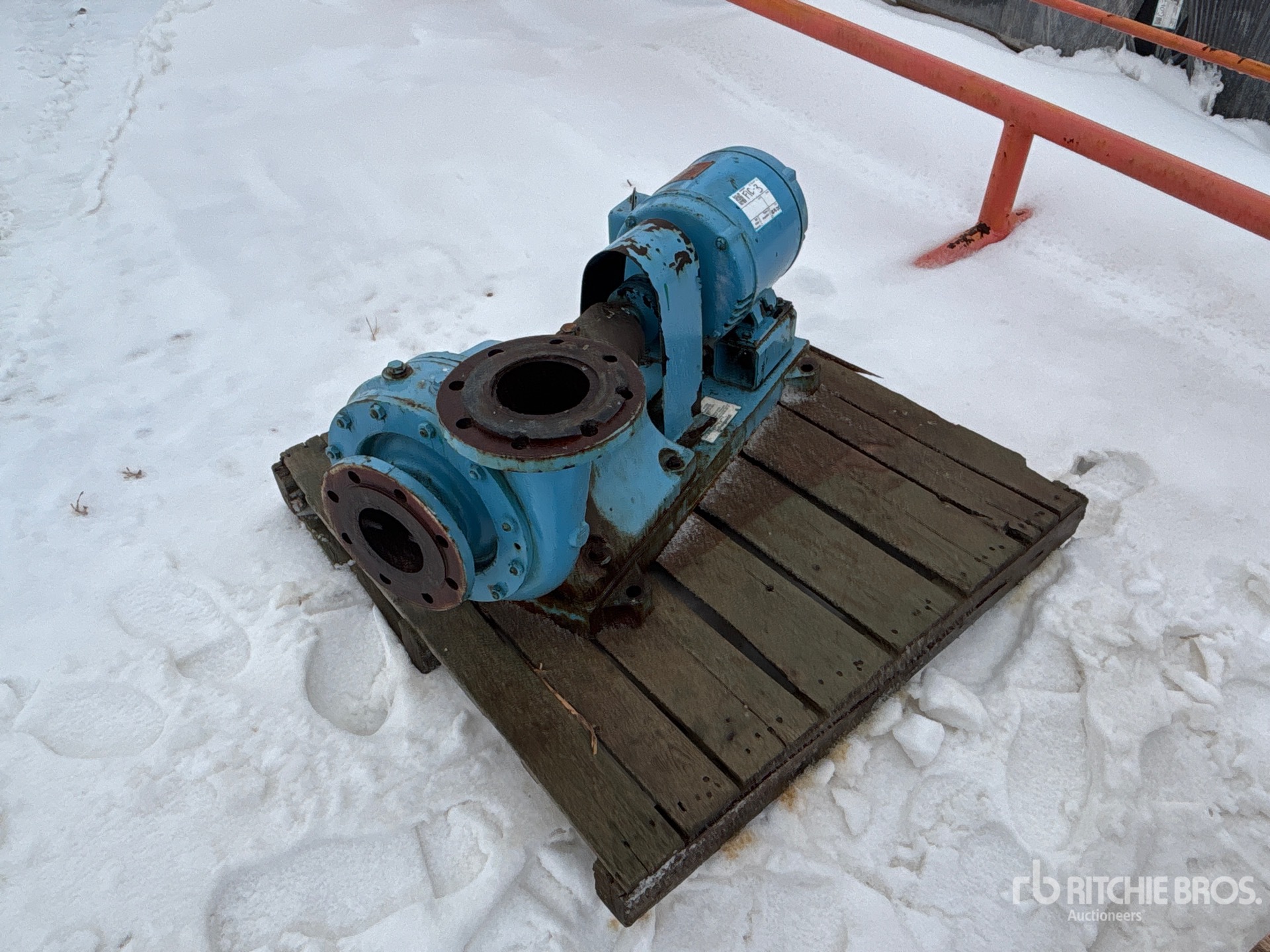 General Appearance with Bild, Ecke vorne links