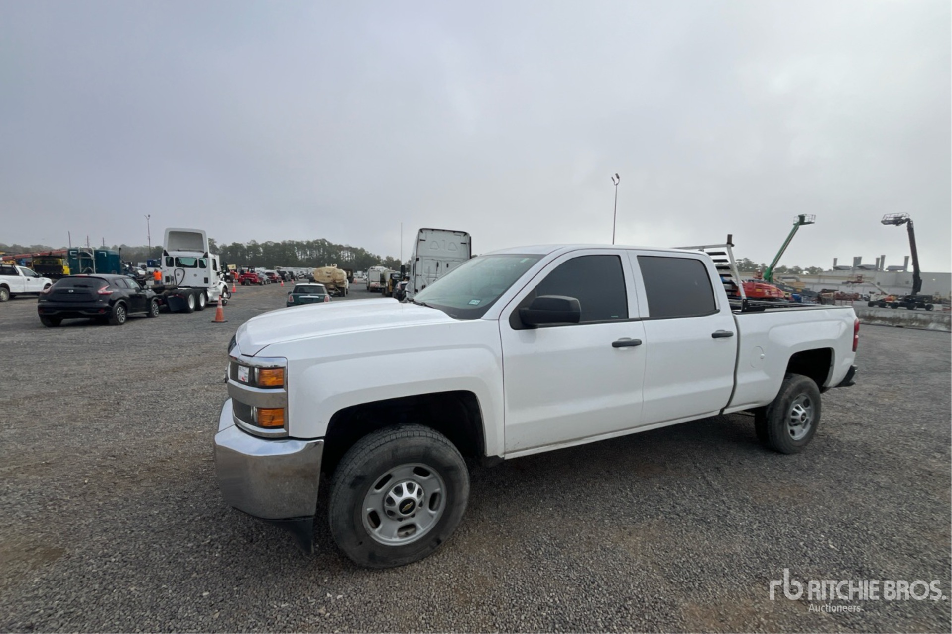 General Appearance with Spin