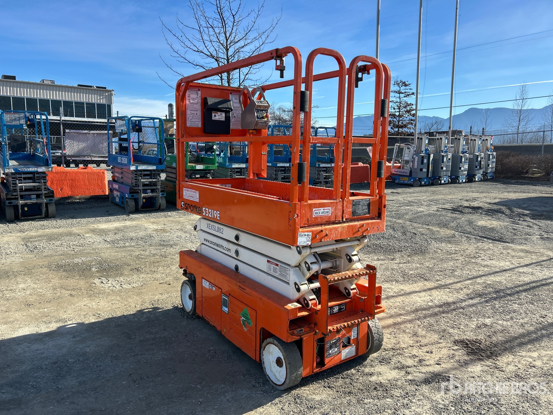 General Appearance with Zdjęcie, lewy dolny róg