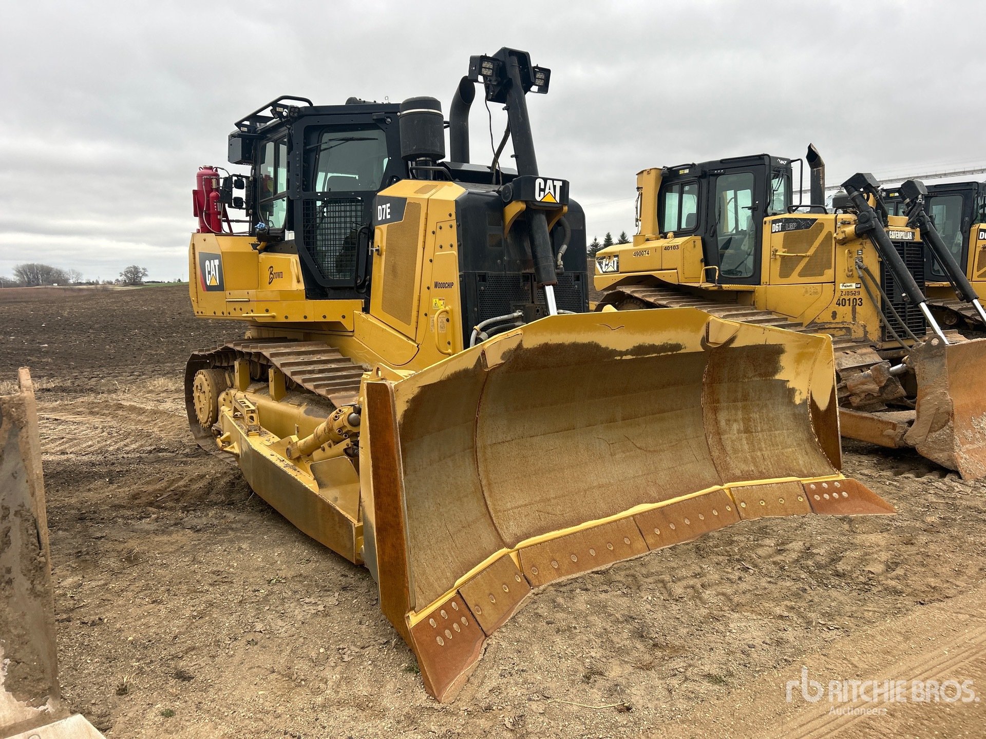 General Appearance with 