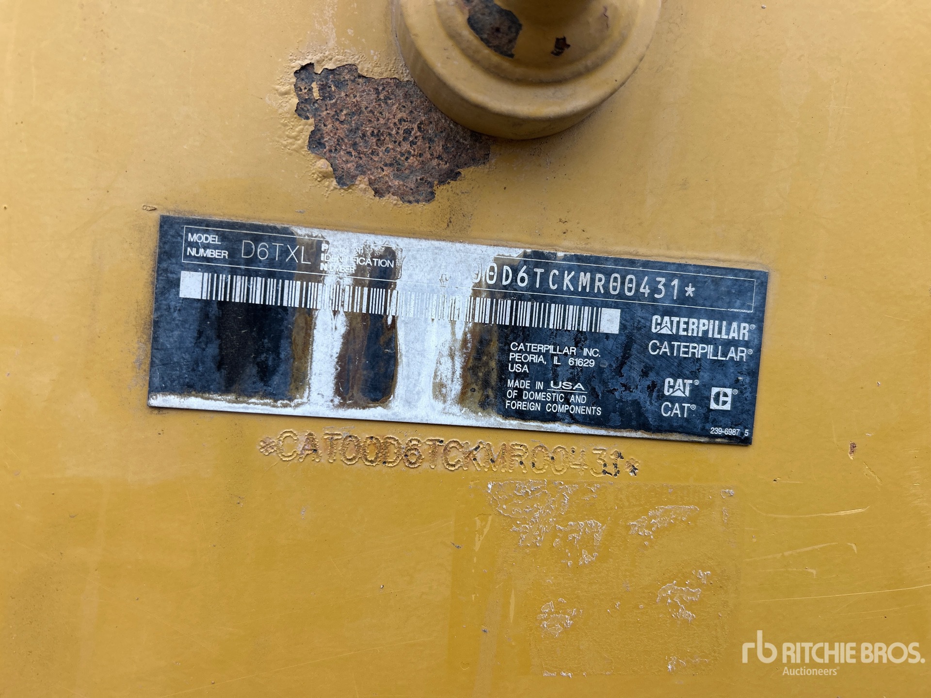 General Appearance with 