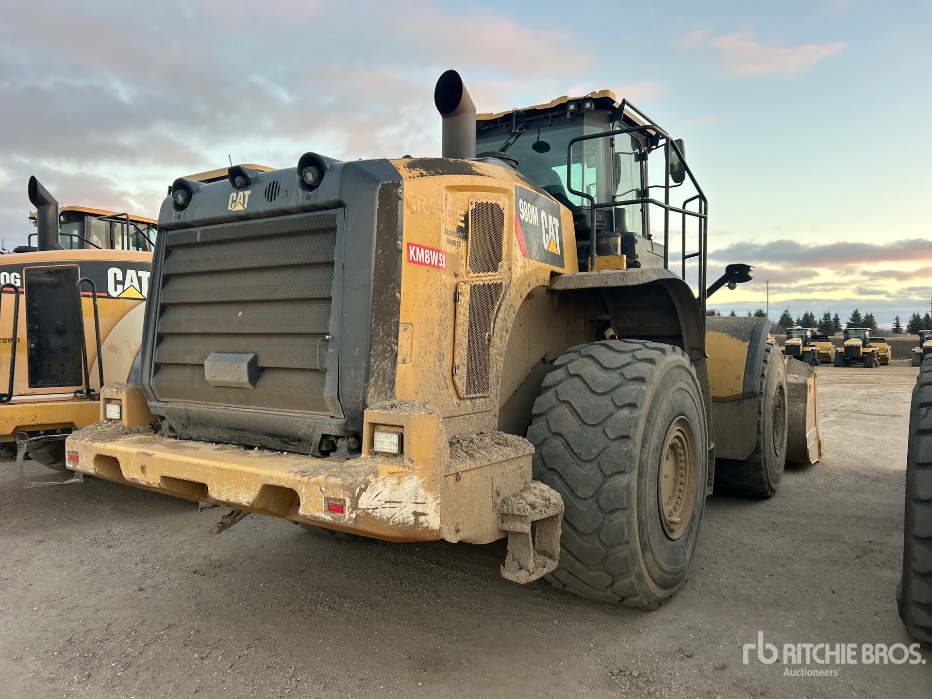 General Appearance with 