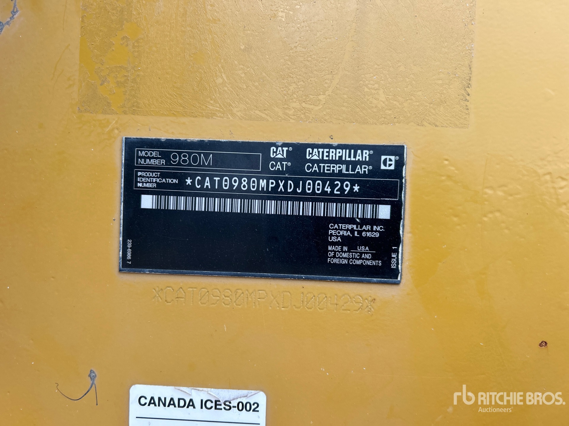 General Appearance with 