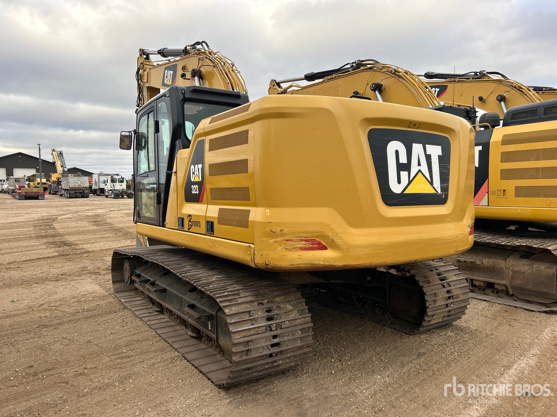 General Appearance with 